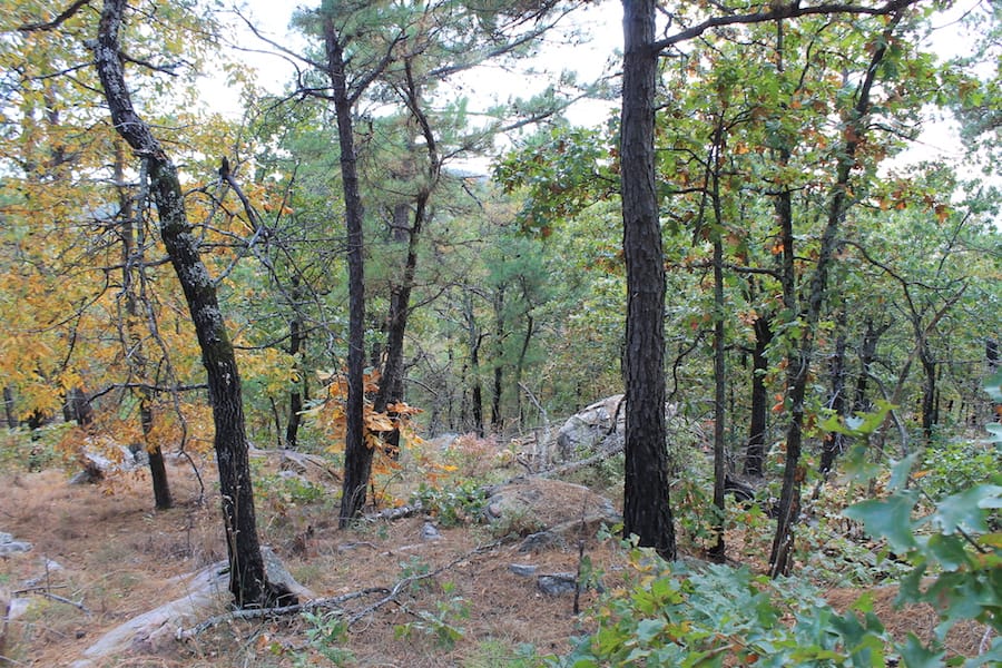 Indian Ridge – Phase III Tract 100 photo 5