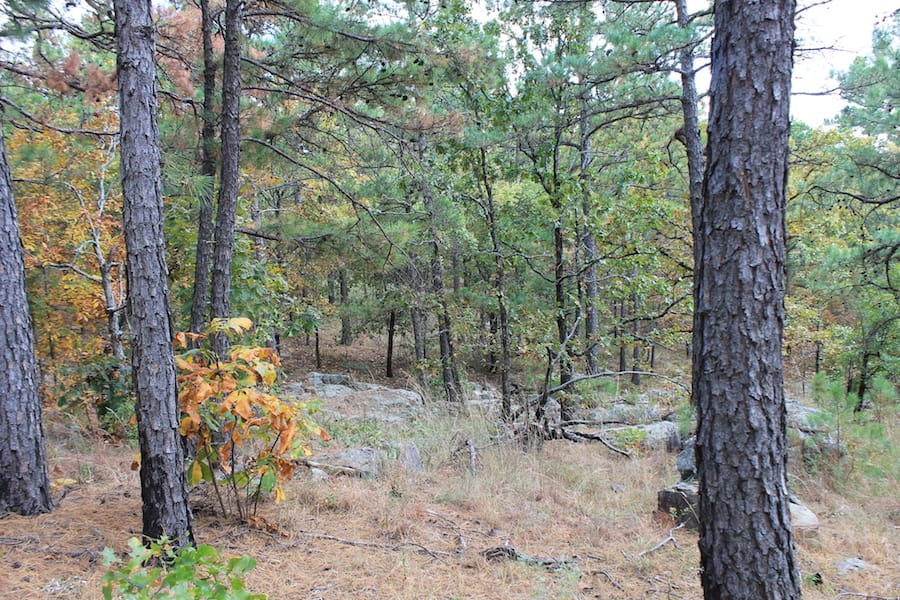 Indian Ridge – Phase III Tract 100 photo 7