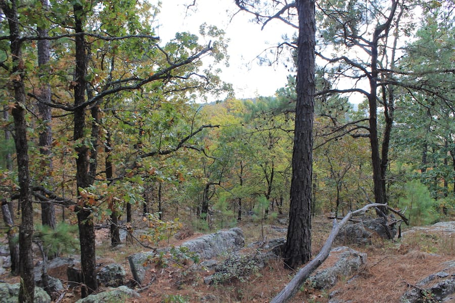 Indian Ridge – Phase III Tract 100 photo 8