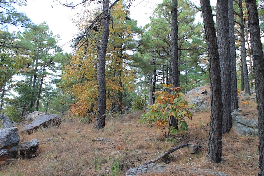 Indian Ridge – Phase III Tract 100 photo 9