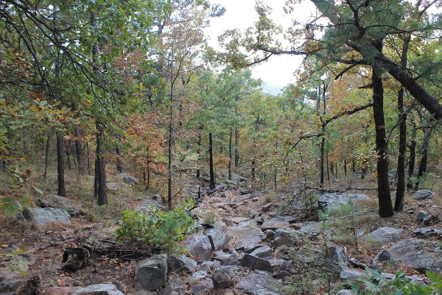 Indian Ridge – Phase III Tract 100 photo 10