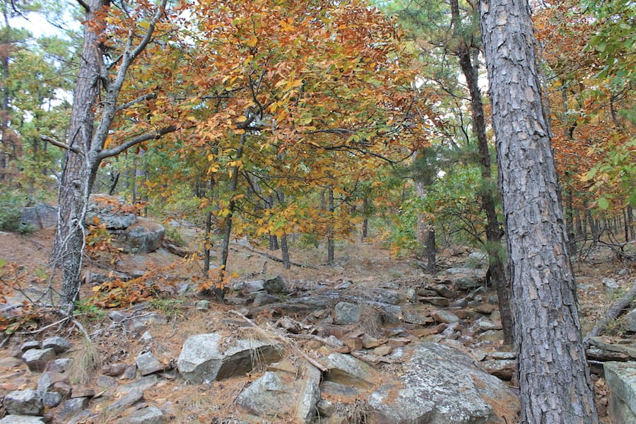 Indian Ridge – Phase III Tract 100 photo 11