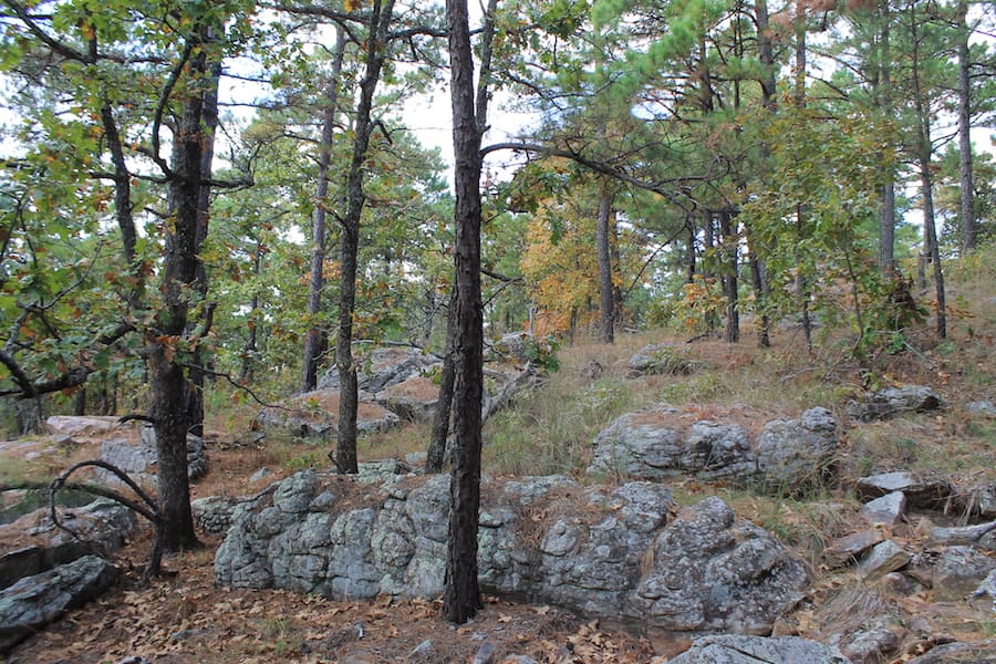 Indian Ridge – Phase III Tract 100 photo 12