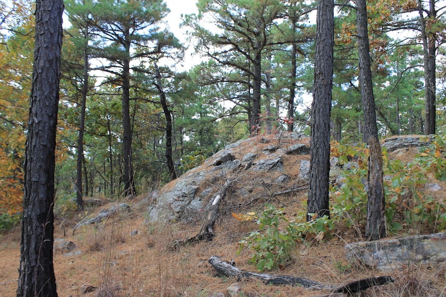 Indian Ridge – Phase III Tract 100 photo 14