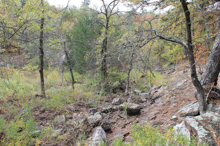 Indian Ridge – Phase III Tract 100 photo 15