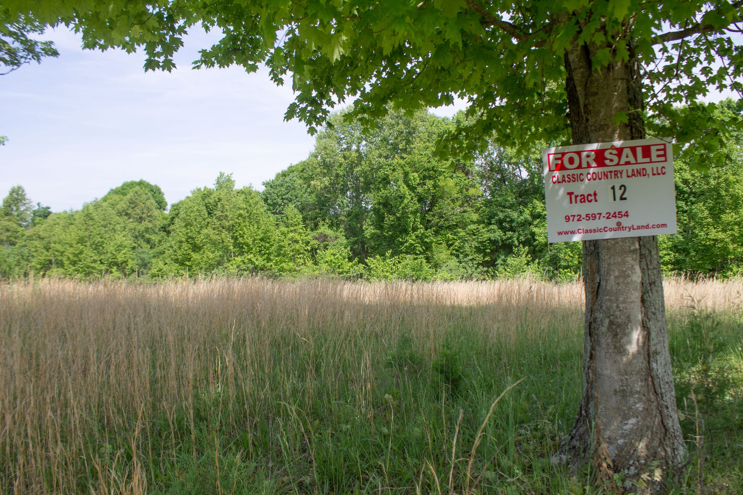 Laurel Ridge Tract 12 photo 1