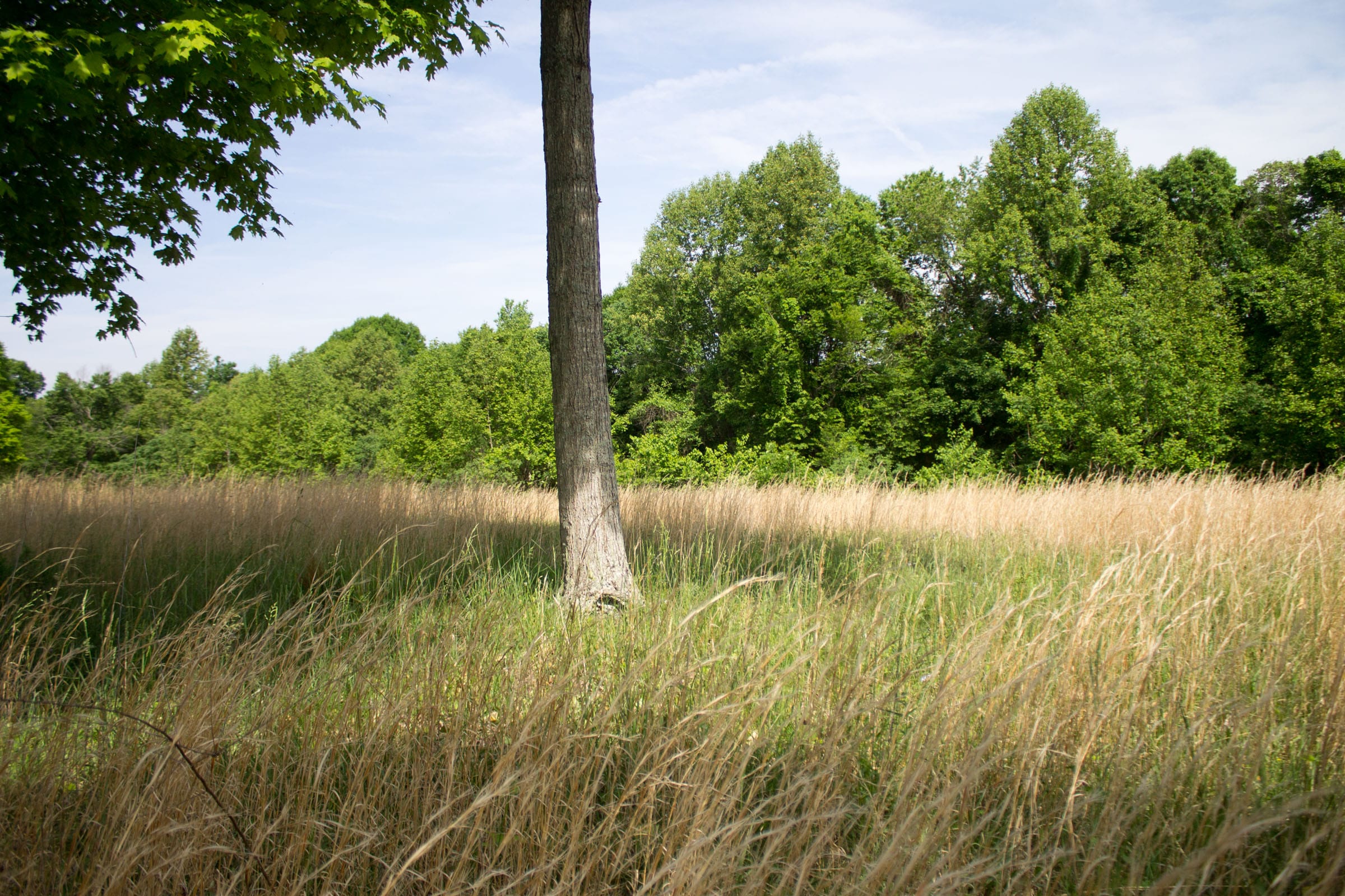 Laurel Ridge Tract 12 photo 7