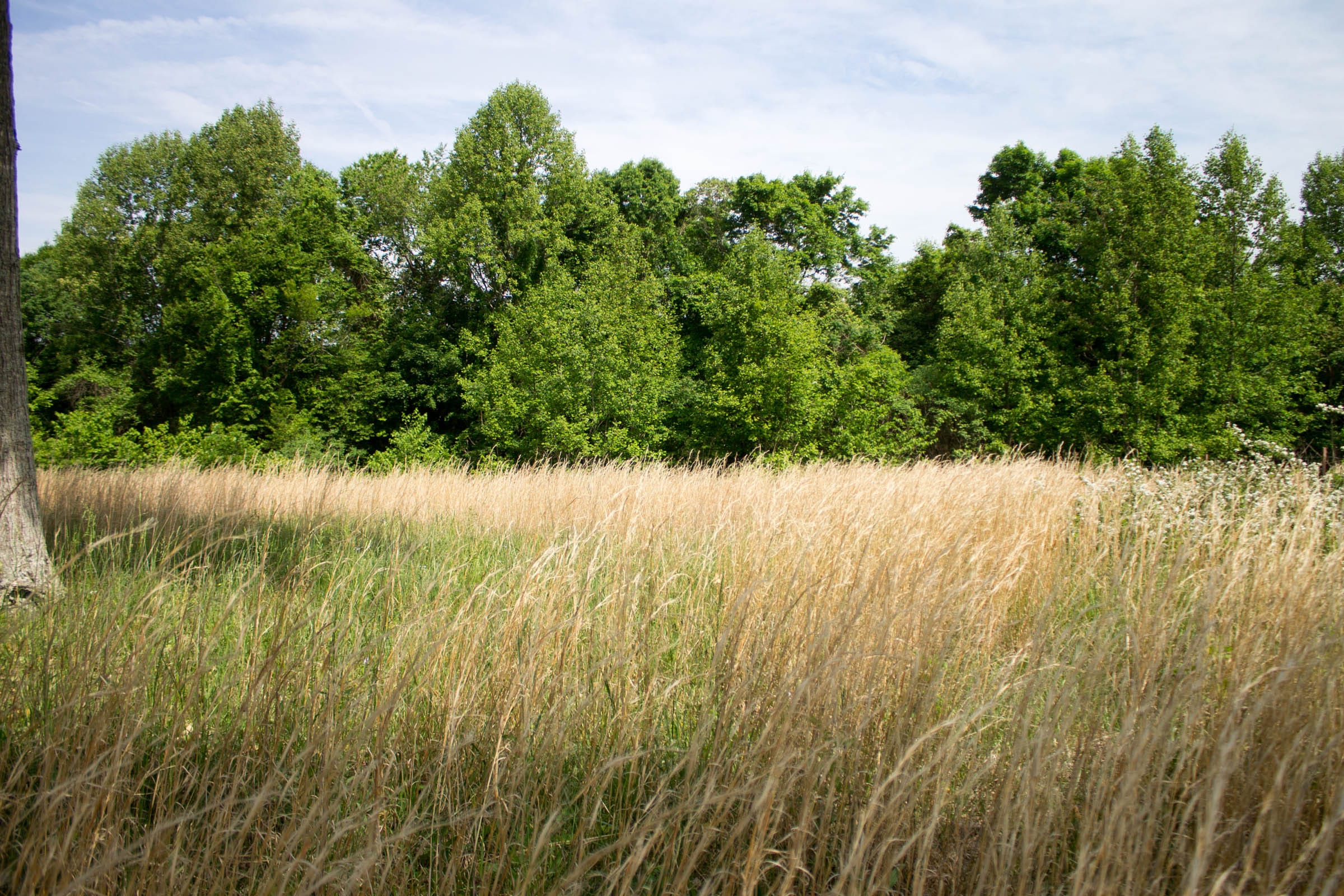 Laurel Ridge Tract 12 photo 8