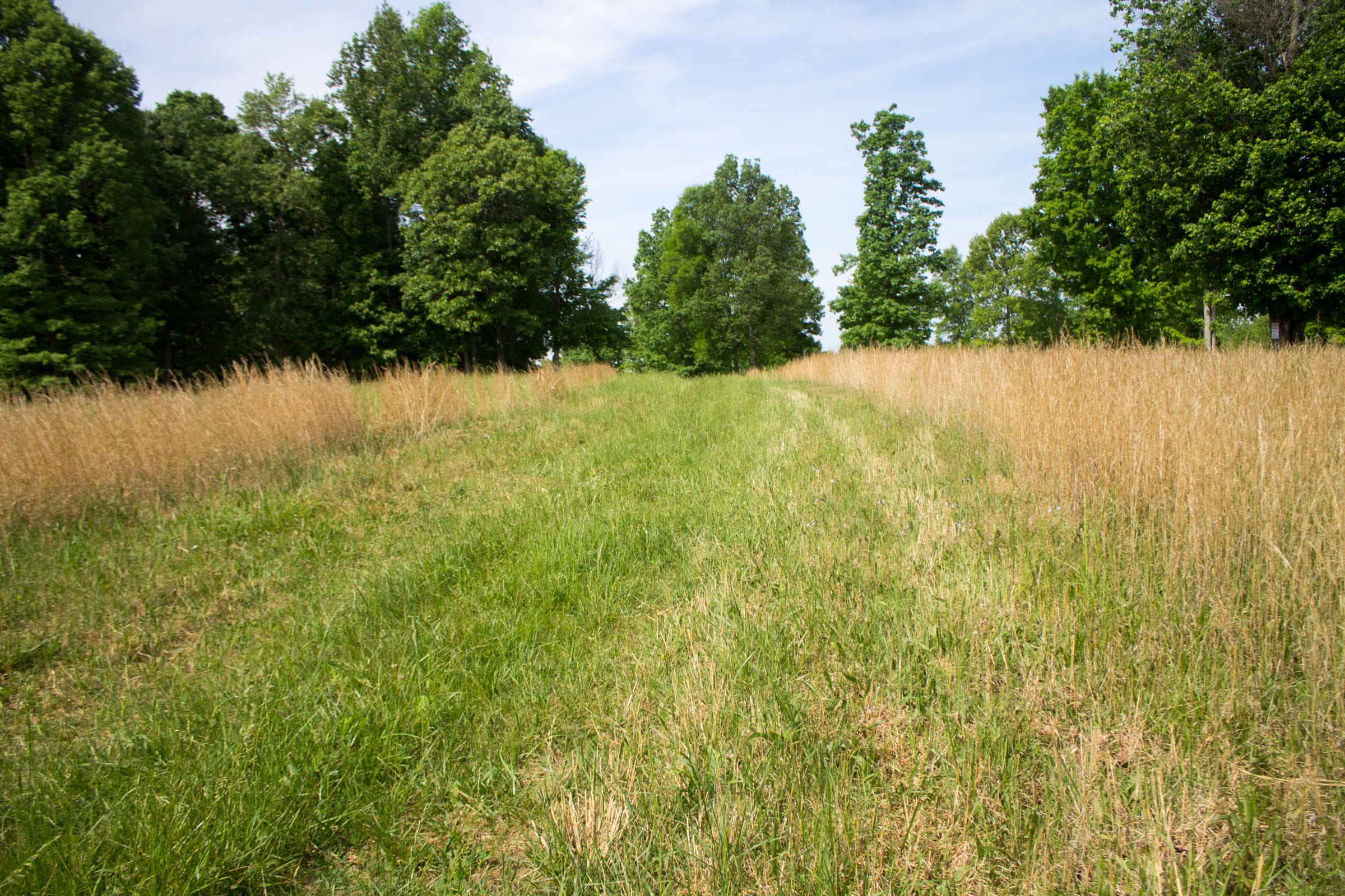 Laurel Ridge Tract 12 photo 11