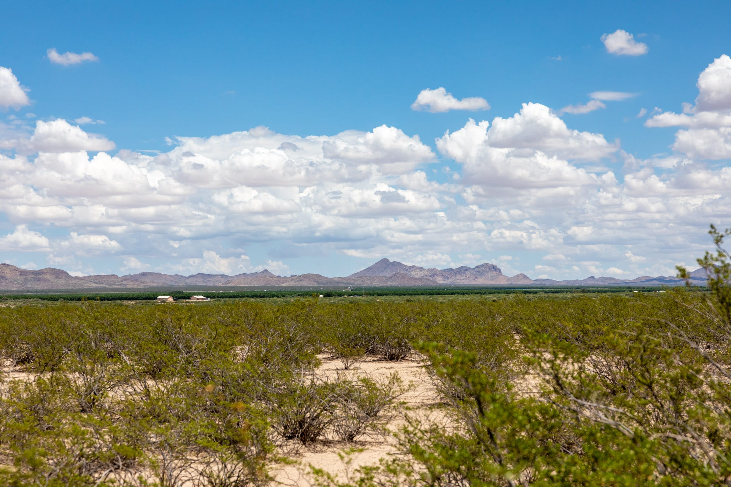 Horizon’s Edge Tract 2 photo 2