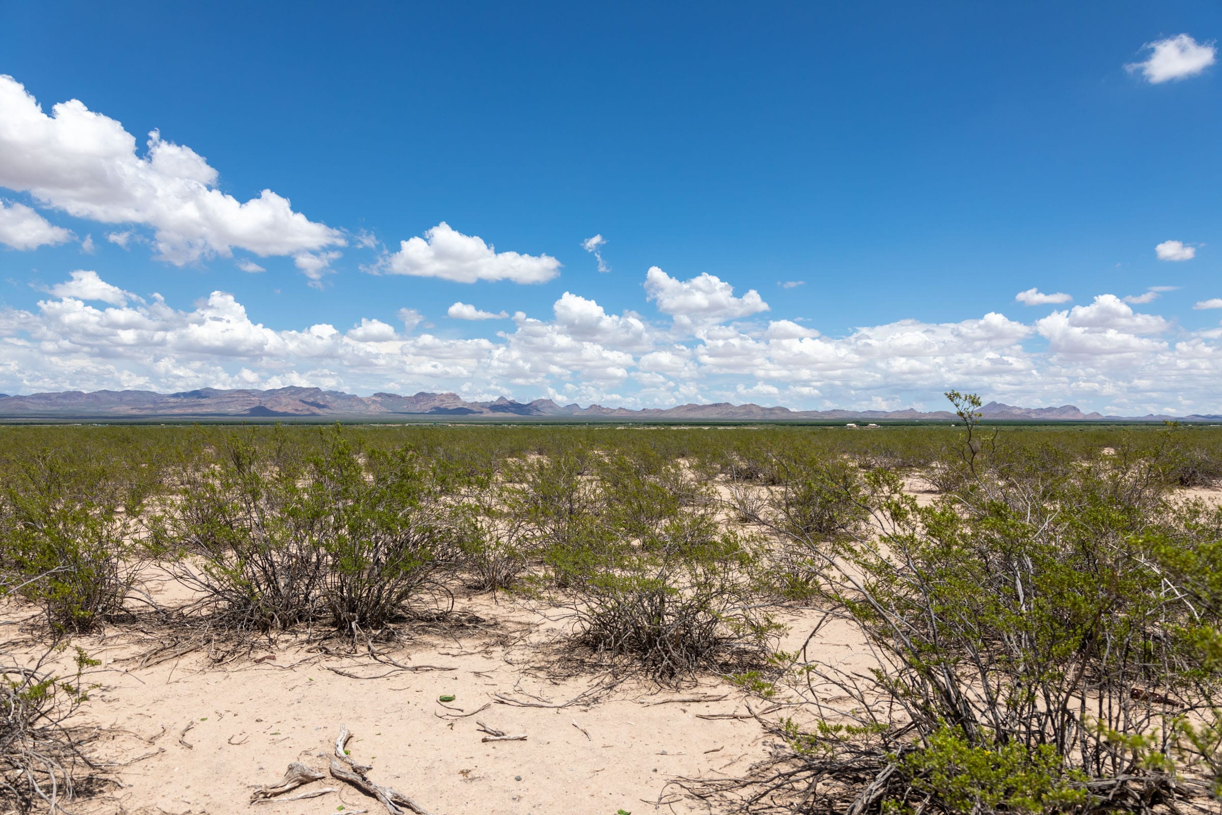 Horizon’s Edge Tract 2 photo 4