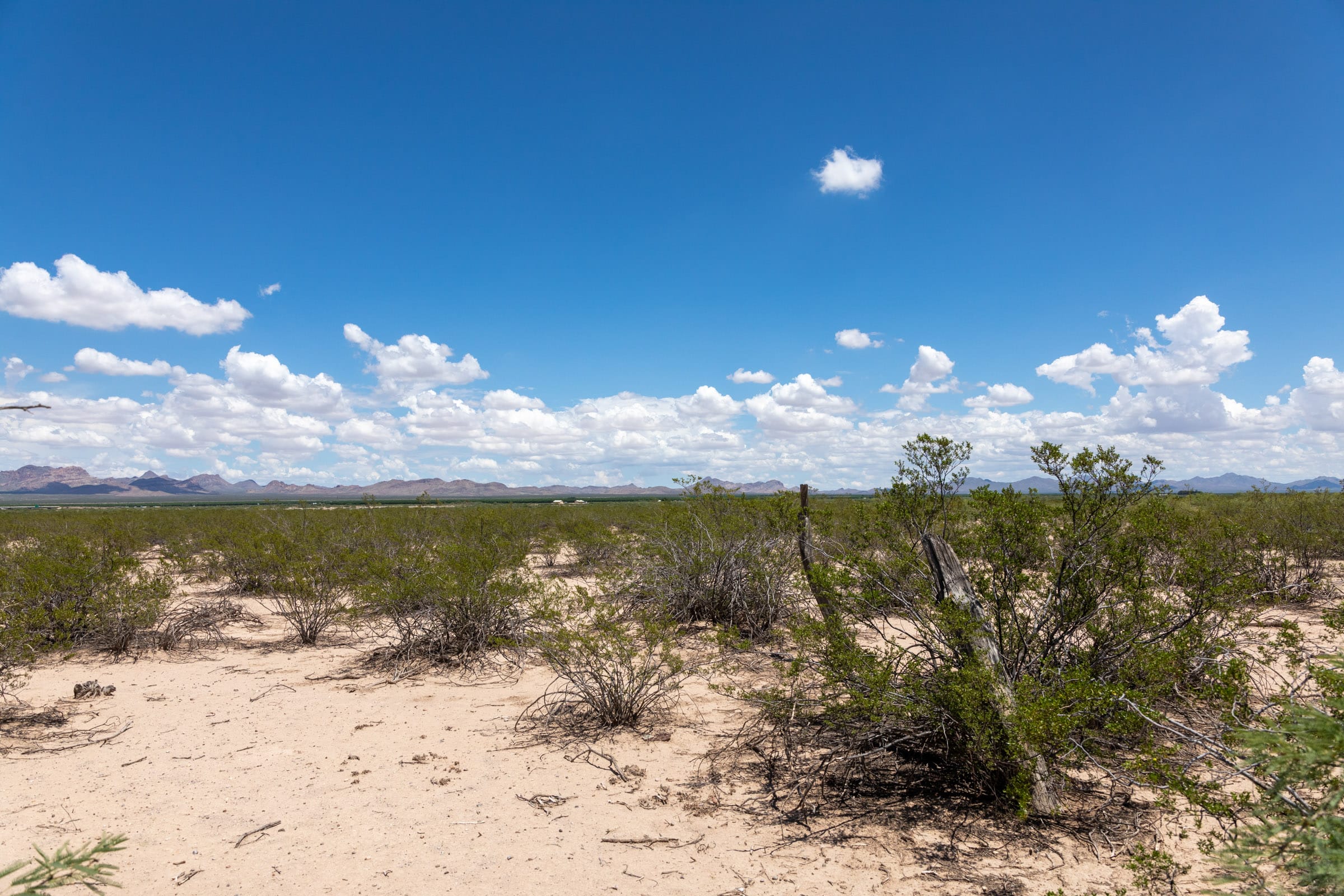 Horizon’s Edge Tract 2 photo 6