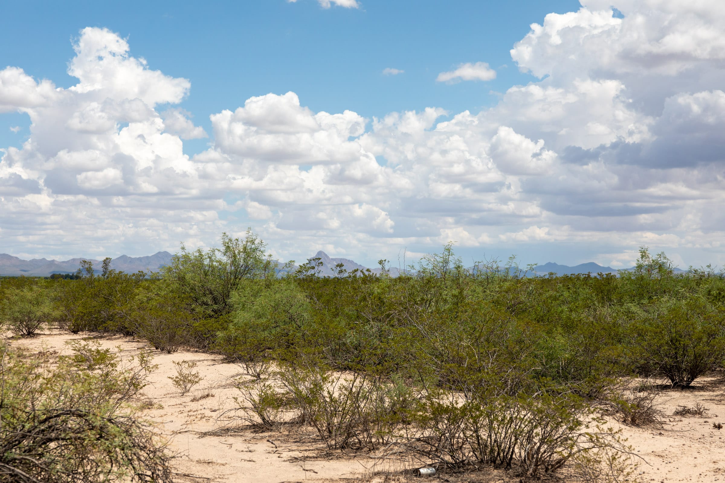 Horizon’s Edge Tract 2 photo 9