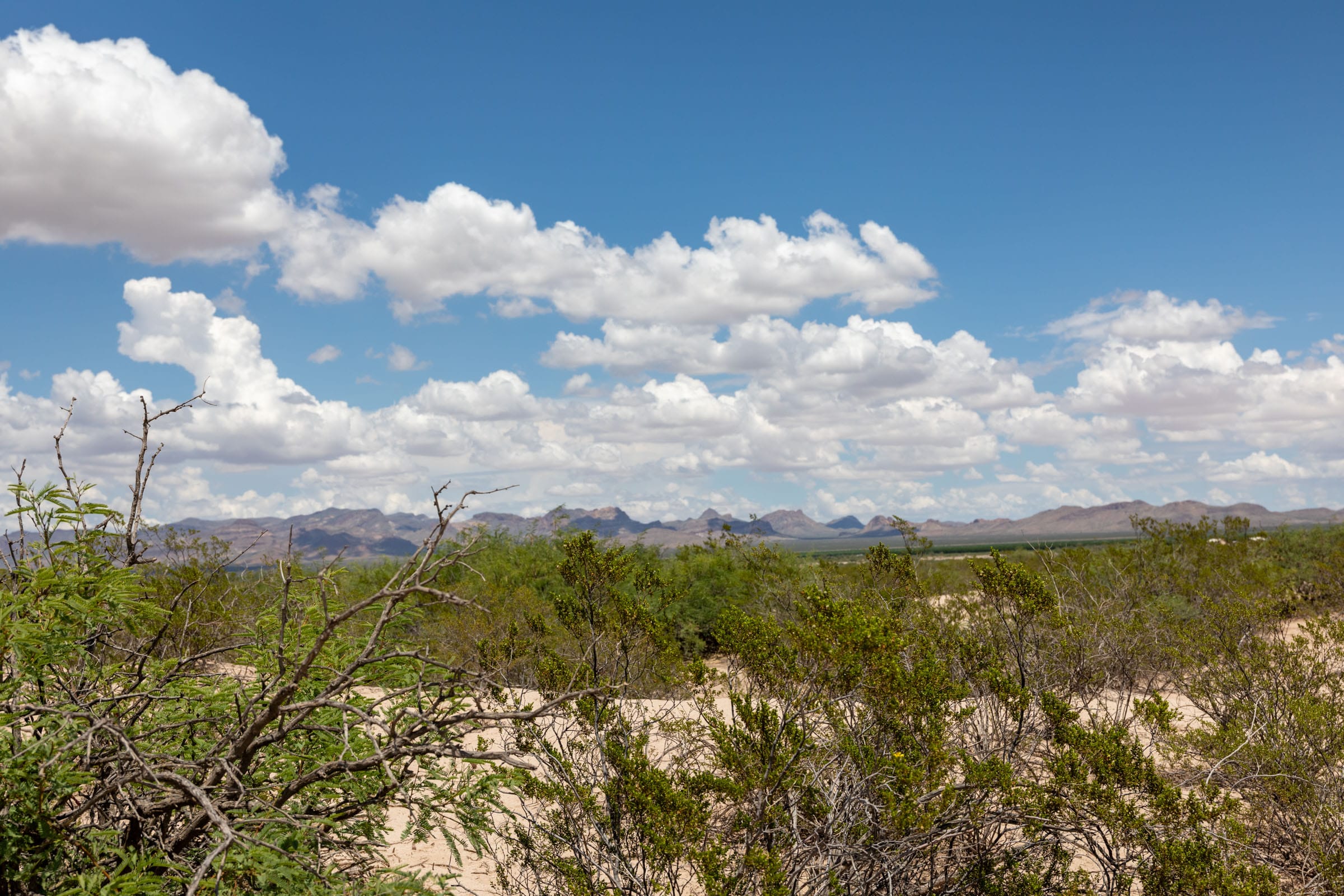 Horizon’s Edge Tract 2 photo 10