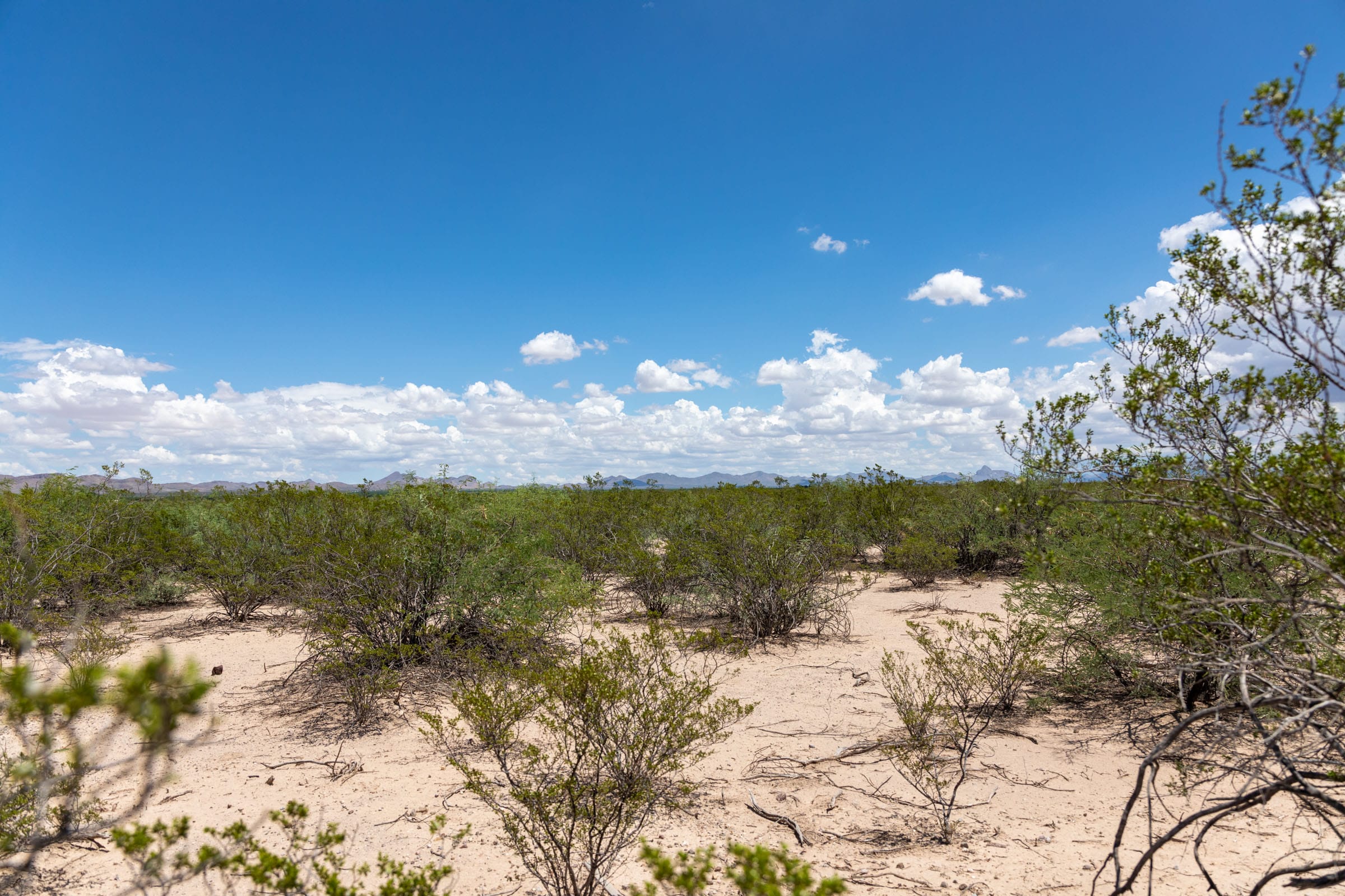 Horizon’s Edge Tract 2 photo 11