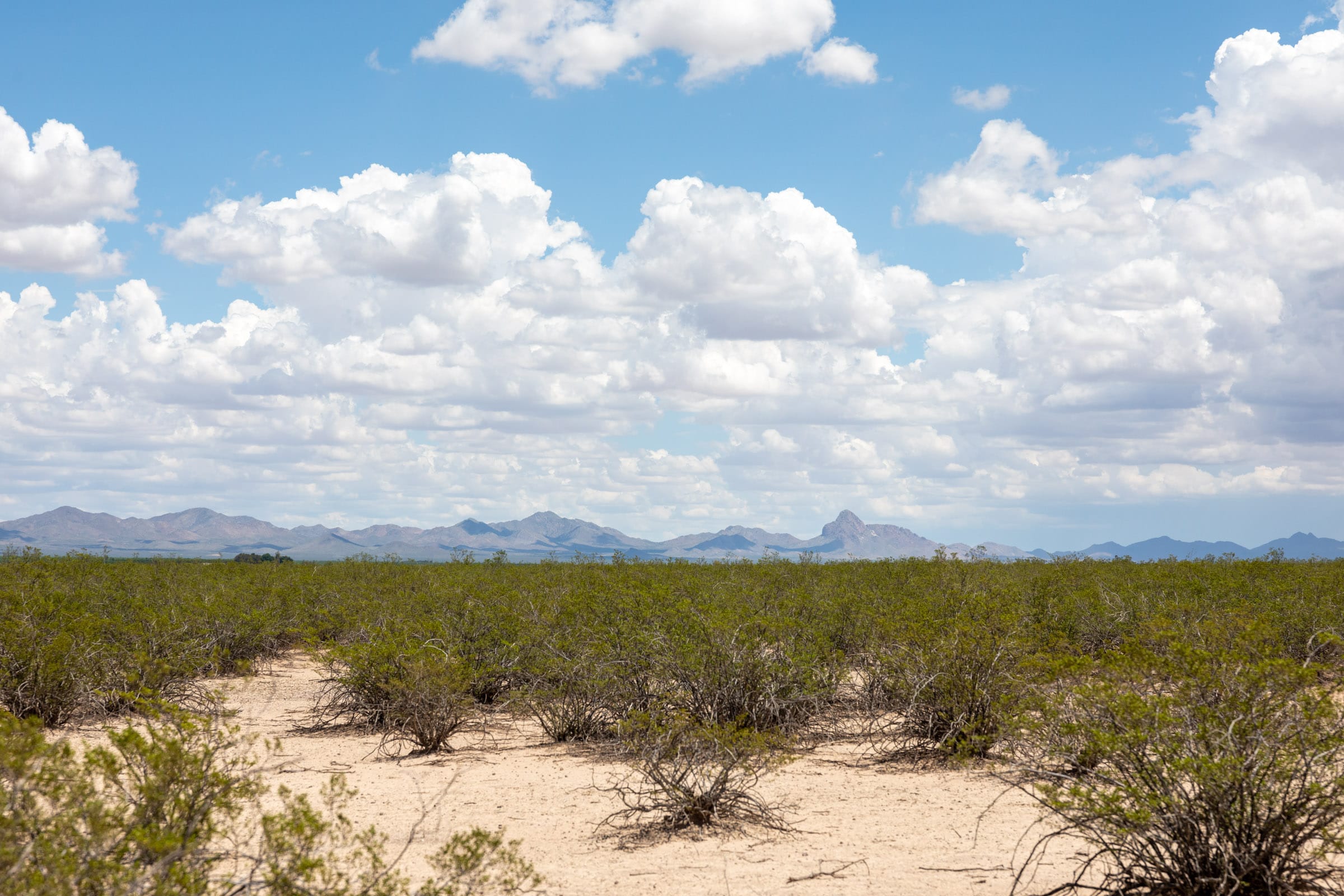 Horizon’s Edge Tract 2 photo 17