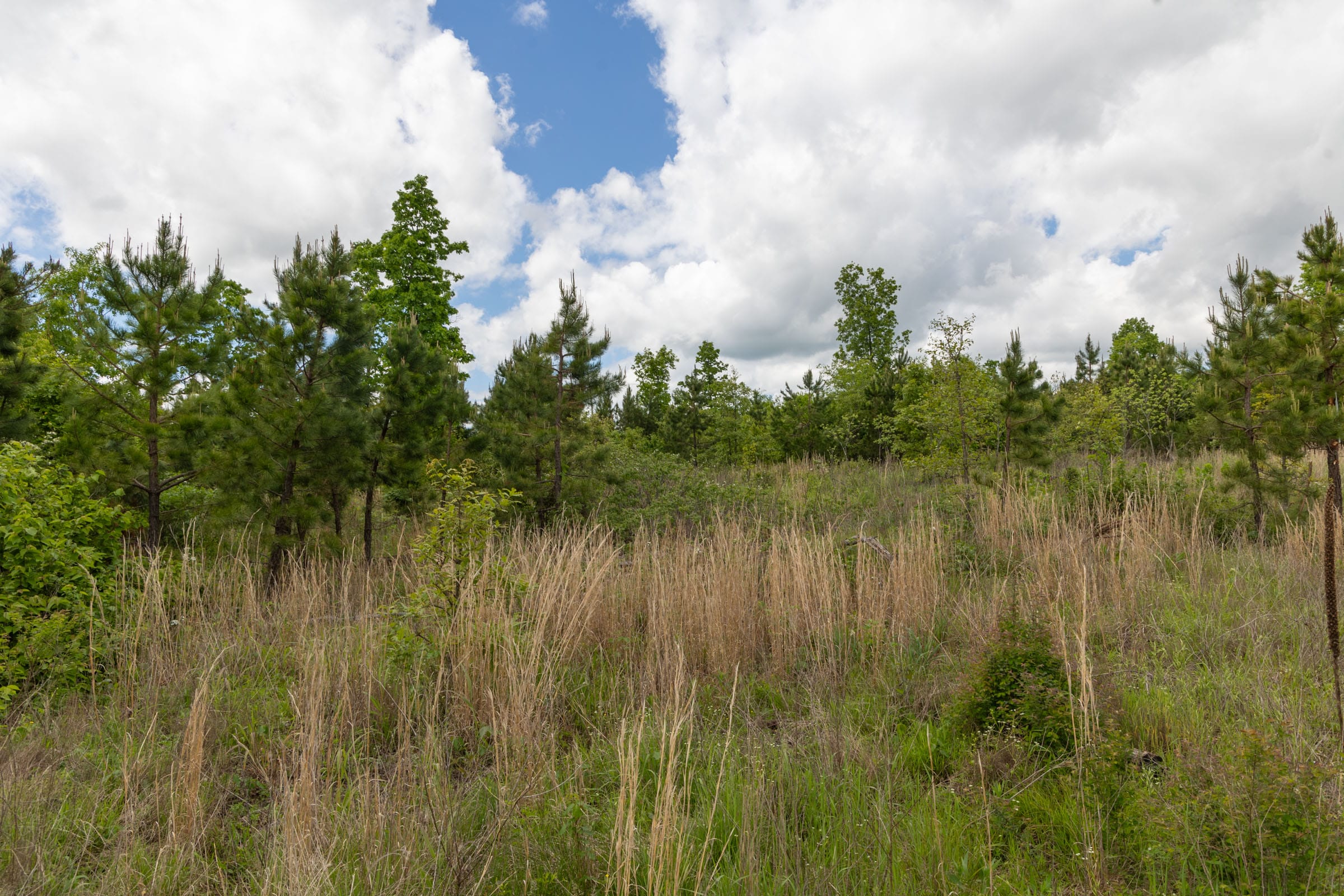 Sleepy Hollow Phase II Tract 96 photo 15