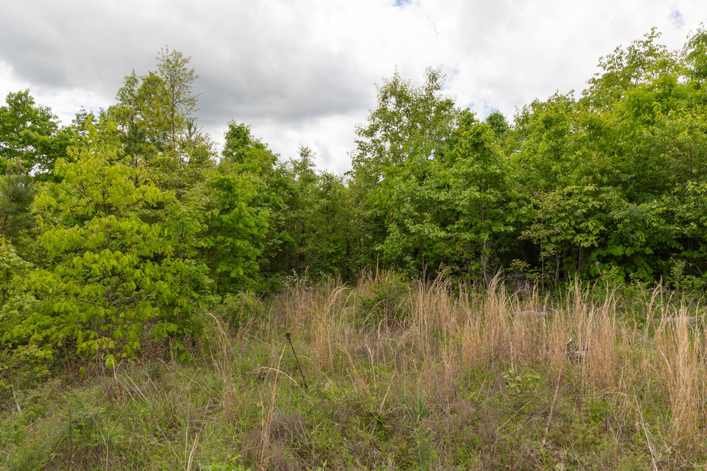 Sleepy Hollow Phase II Tract 96 photo 14