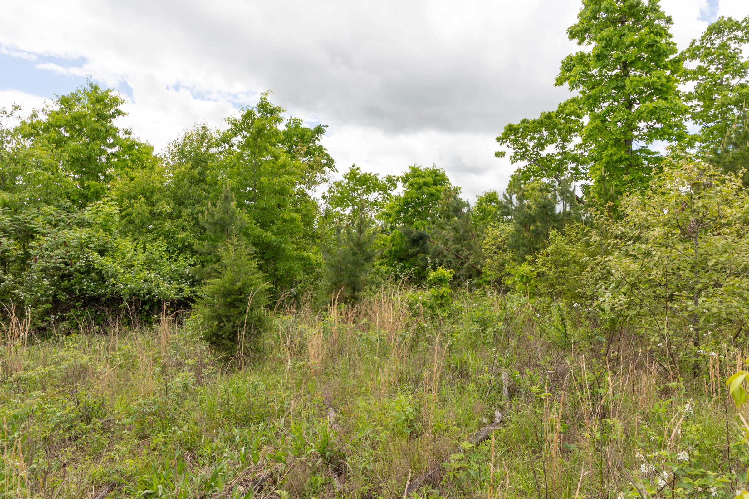 Sleepy Hollow Phase II Tract 96 photo 13