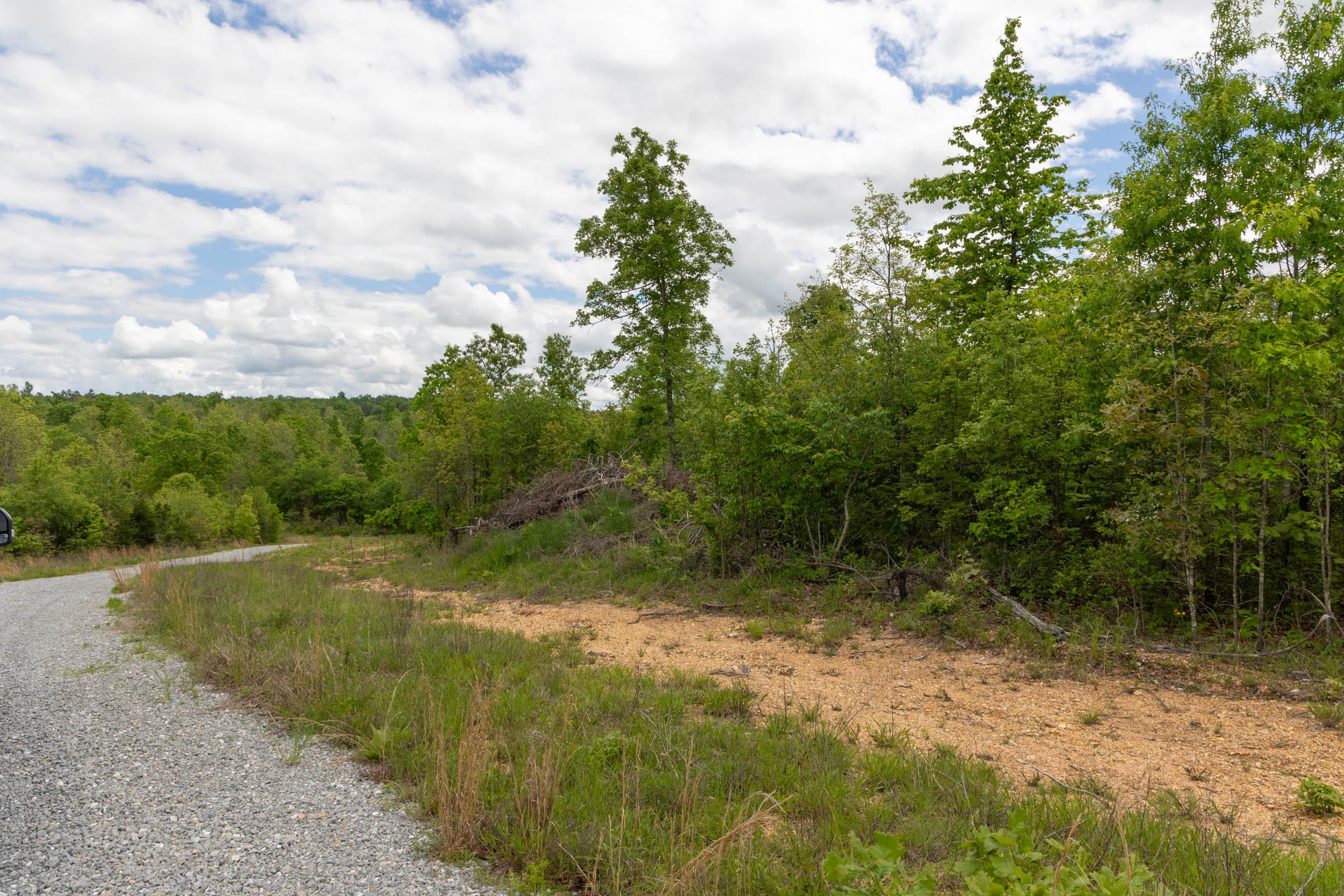Sleepy Hollow Phase II Tract 96 photo 12