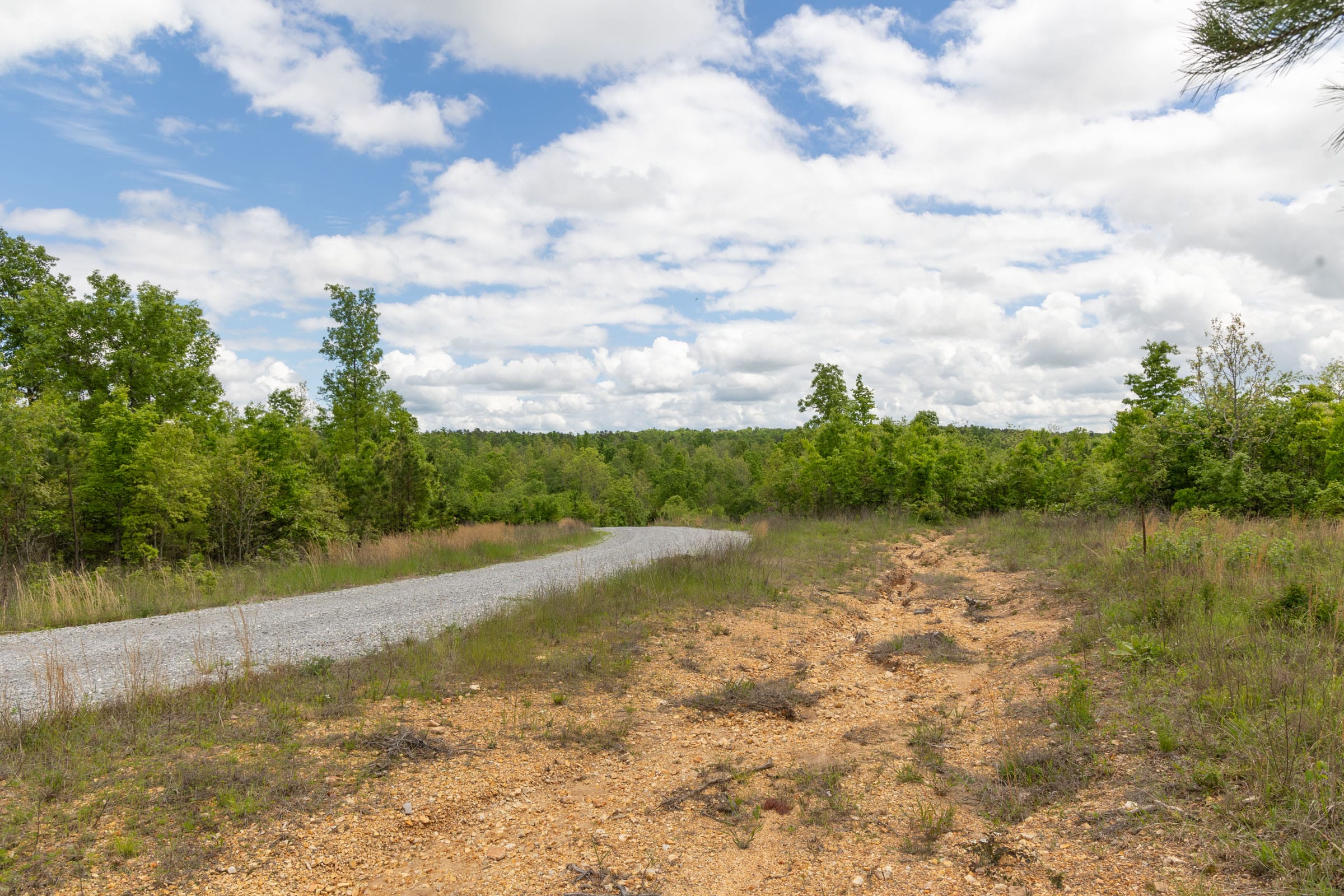Sleepy Hollow Phase II Tract 96 photo 11
