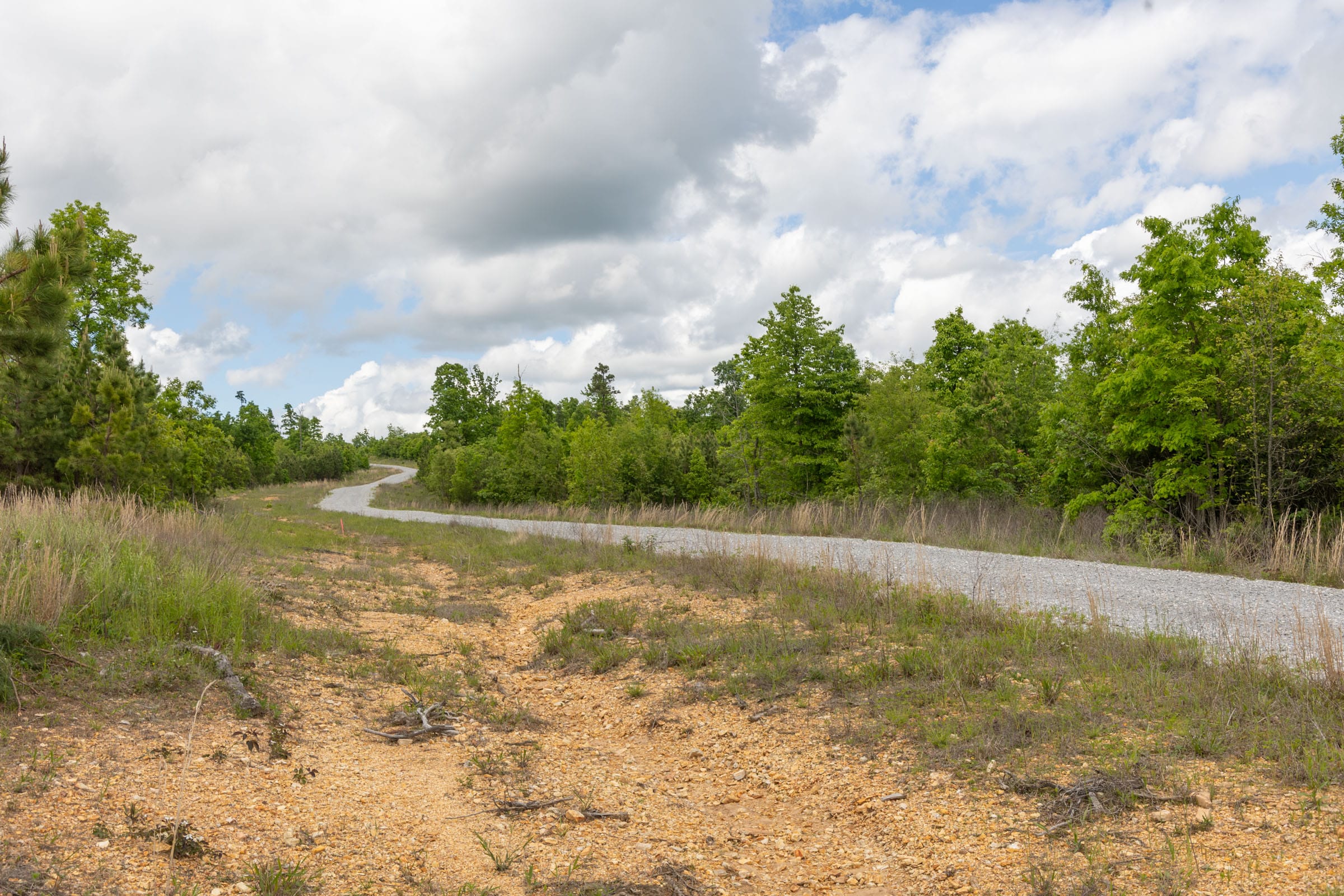 Sleepy Hollow Phase II Tract 96 photo 10