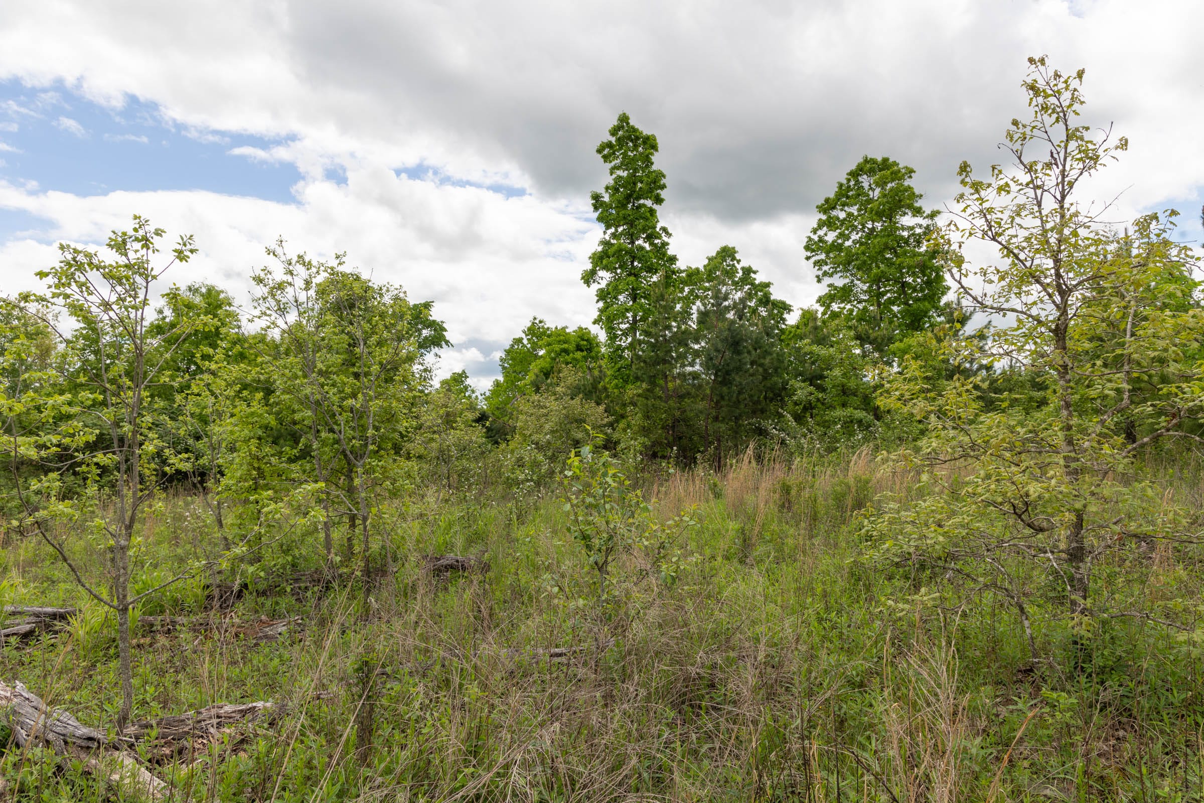 Sleepy Hollow Phase II Tract 96 photo 9