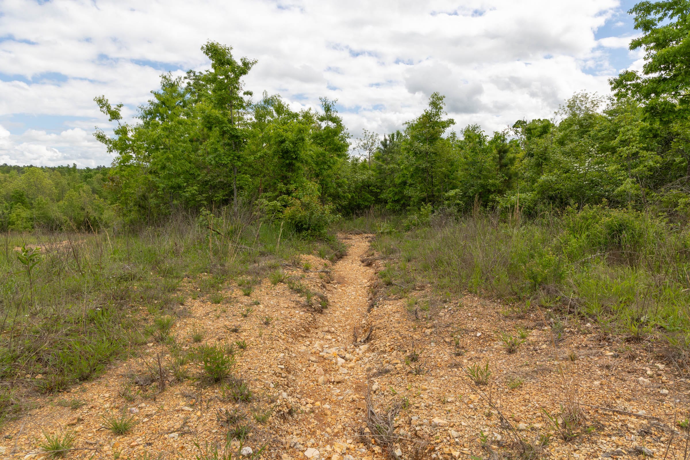 Sleepy Hollow Phase II Tract 96 photo 8