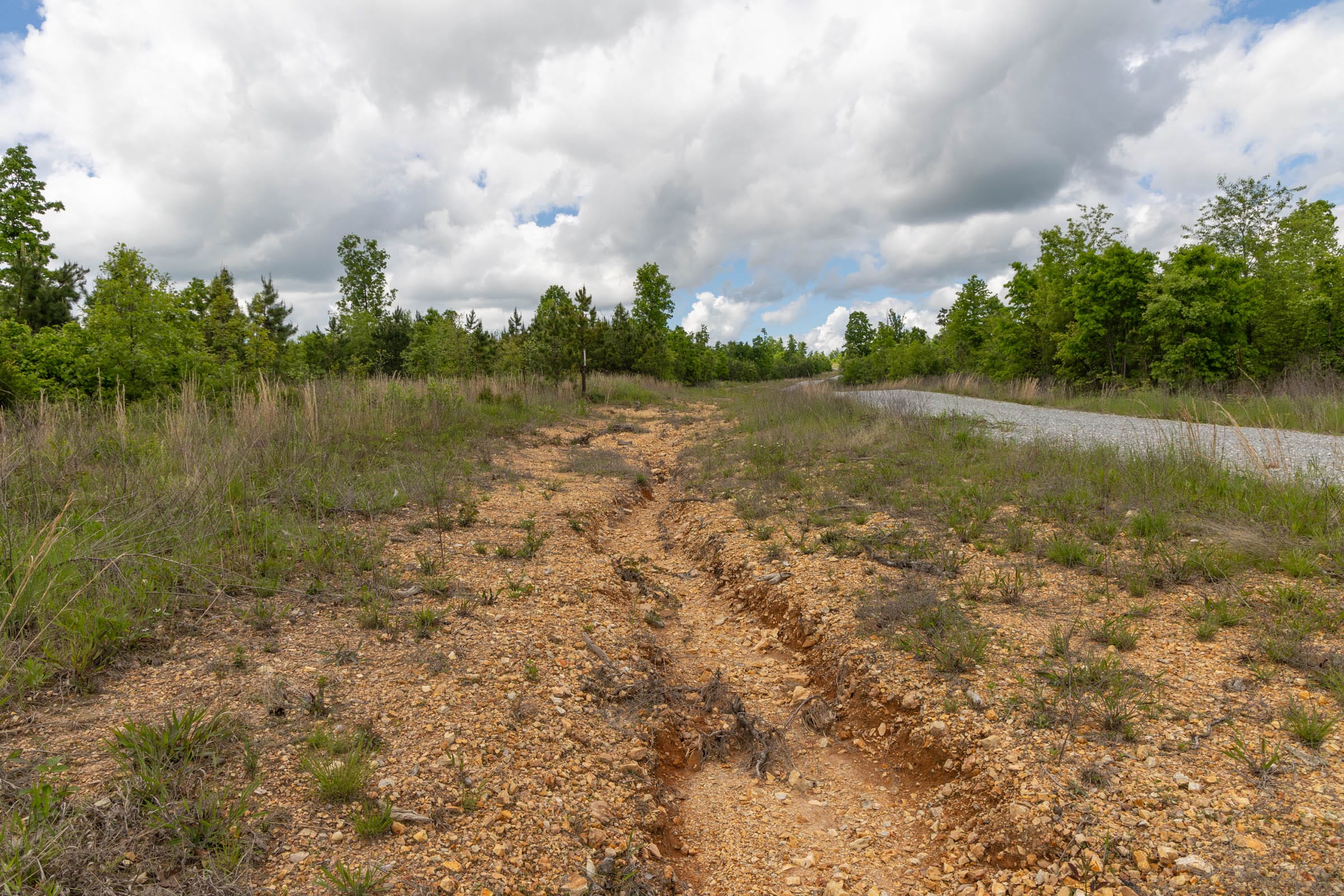 Sleepy Hollow Phase II Tract 96 photo 7