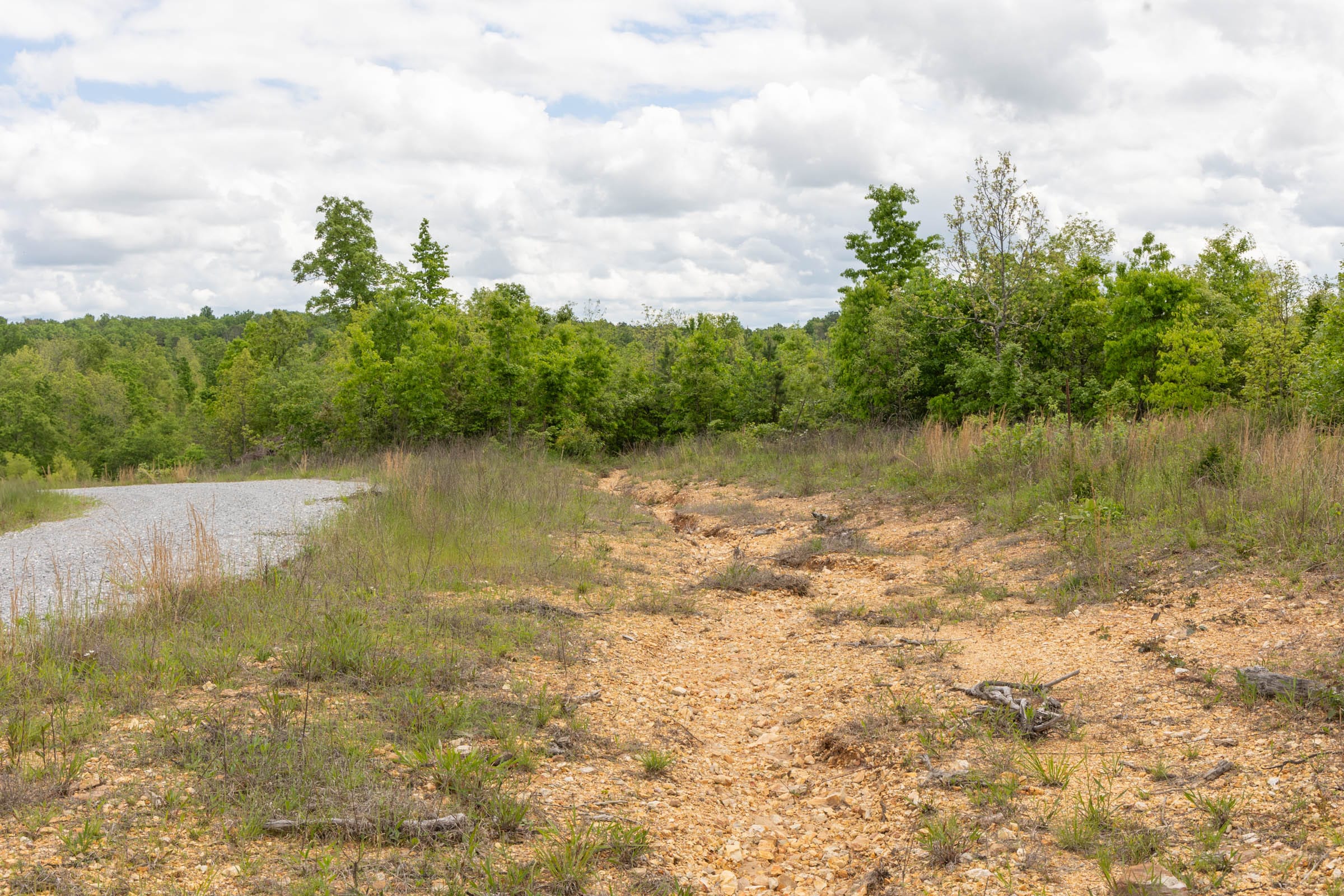 Sleepy Hollow Phase II Tract 96 photo 6
