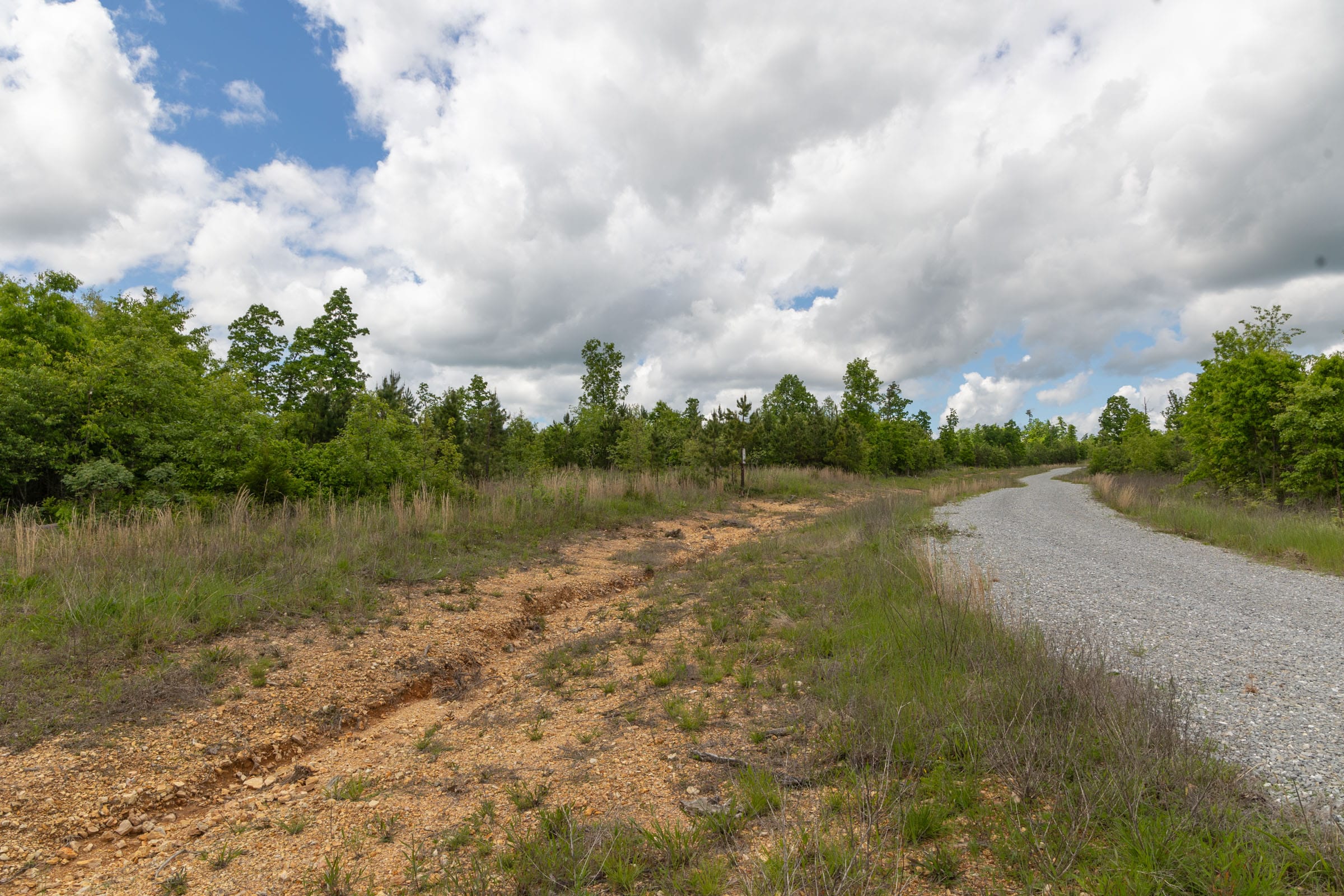Sleepy Hollow Phase II Tract 96 photo 3