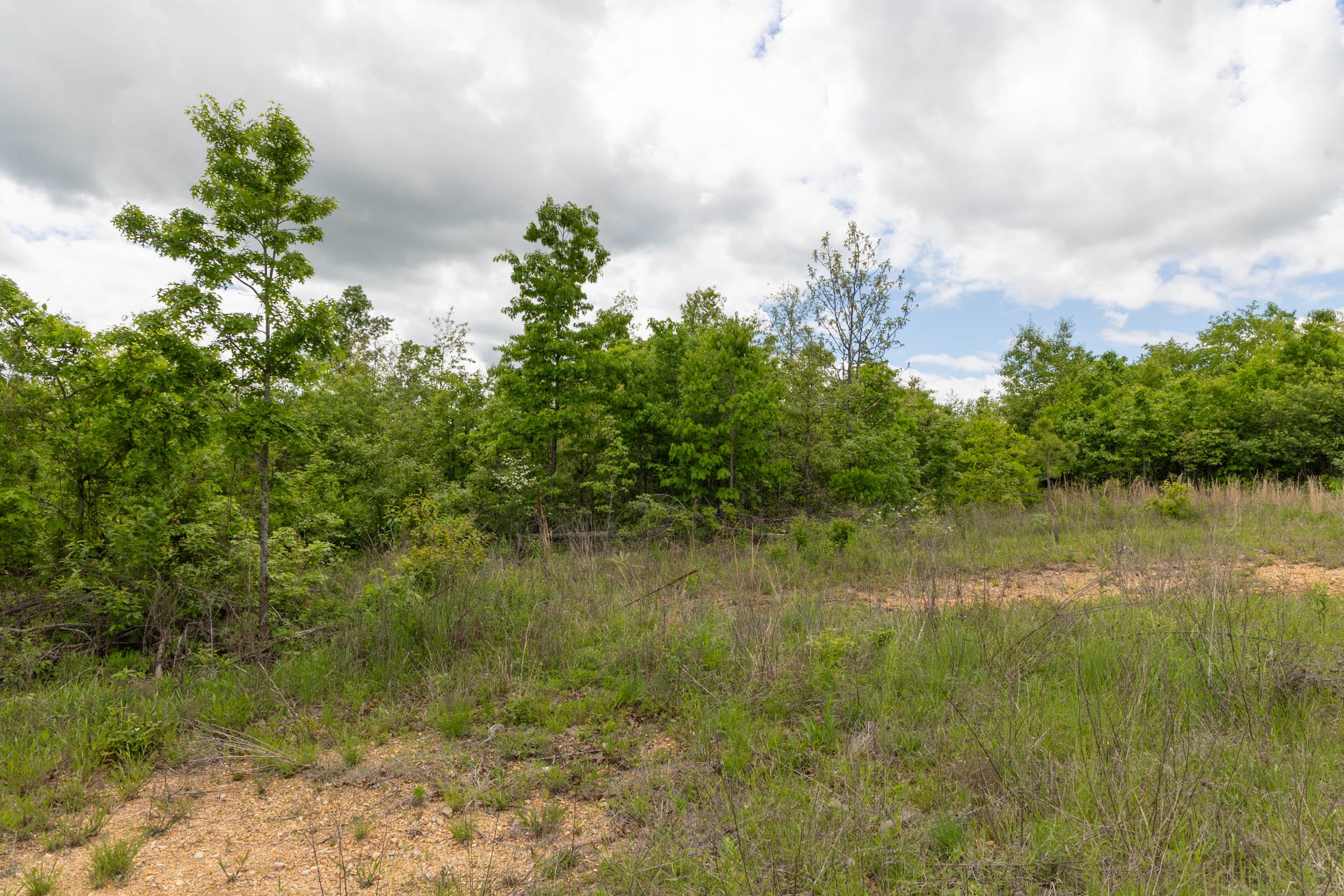 Sleepy Hollow Phase II Tract 96 photo 5