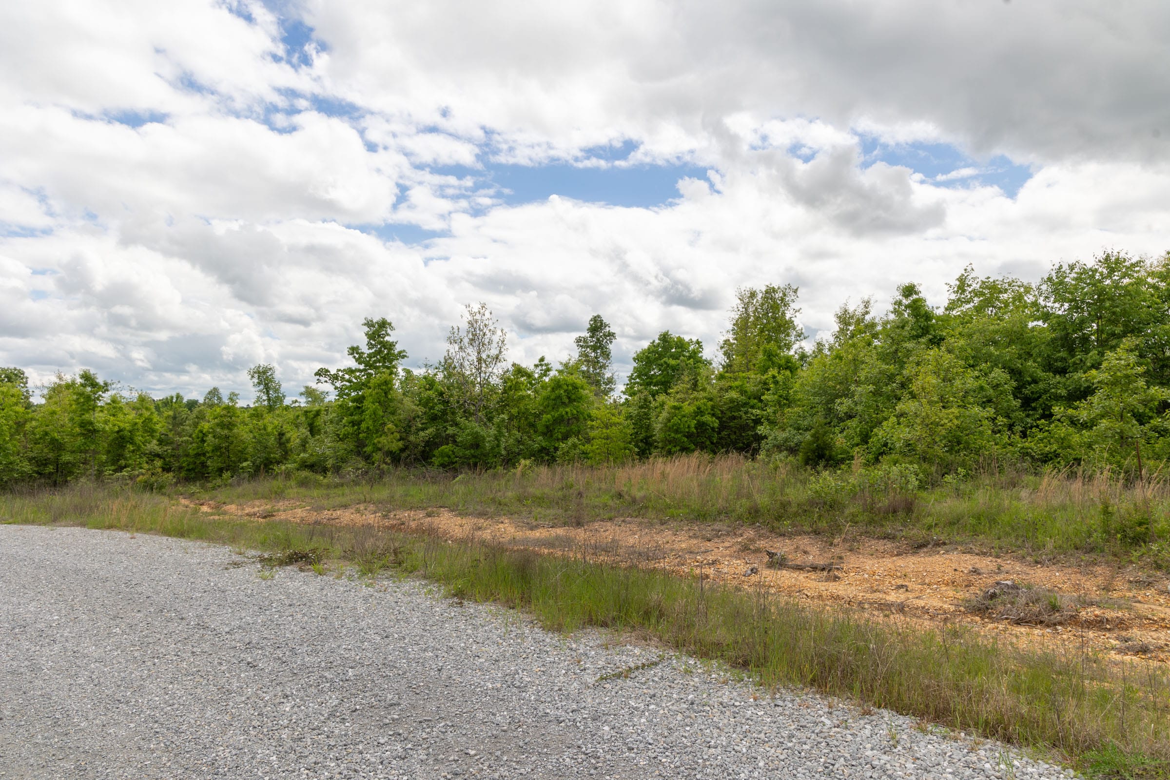 Sleepy Hollow Phase II Tract 96 photo 4