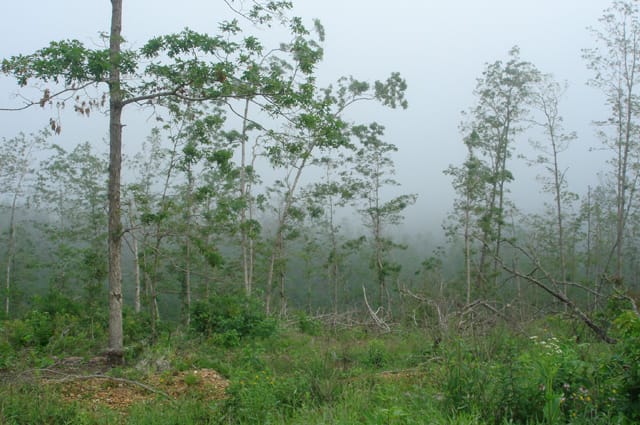 Deer Valley Tract 17 photo 2