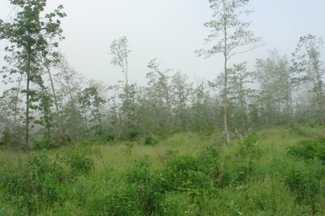 Deer Valley Tract 17 photo 3