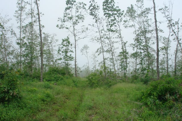 Deer Valley Tract 17 photo 5
