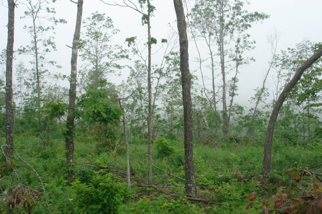 Deer Valley Tract 17 photo 6