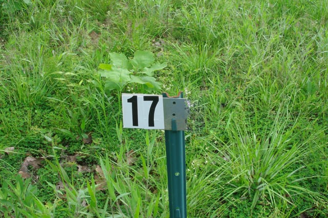 Deer Valley Tract 17 photo 1