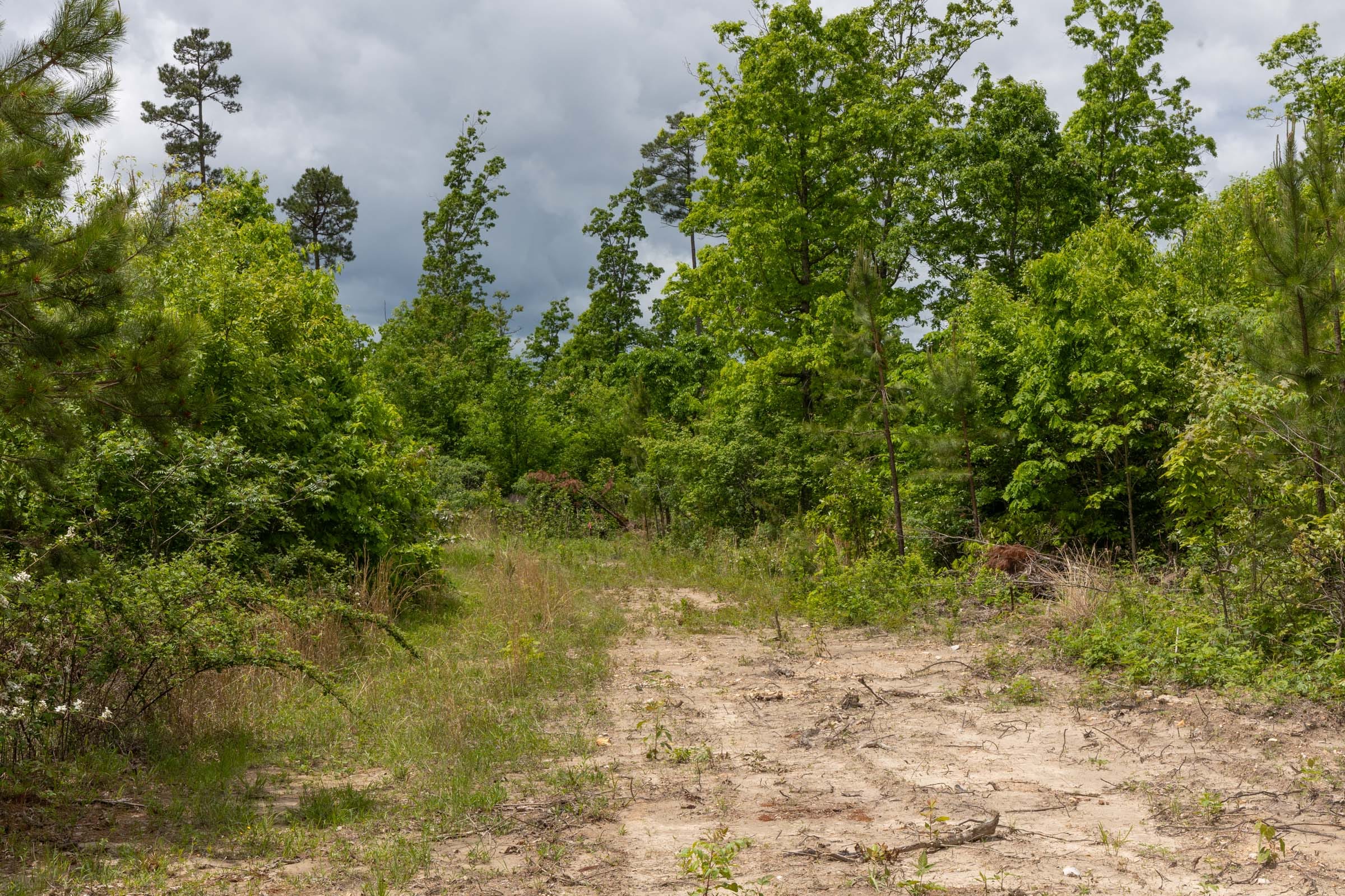 Sleepy Hollow Phase II Tract 79 photo 2