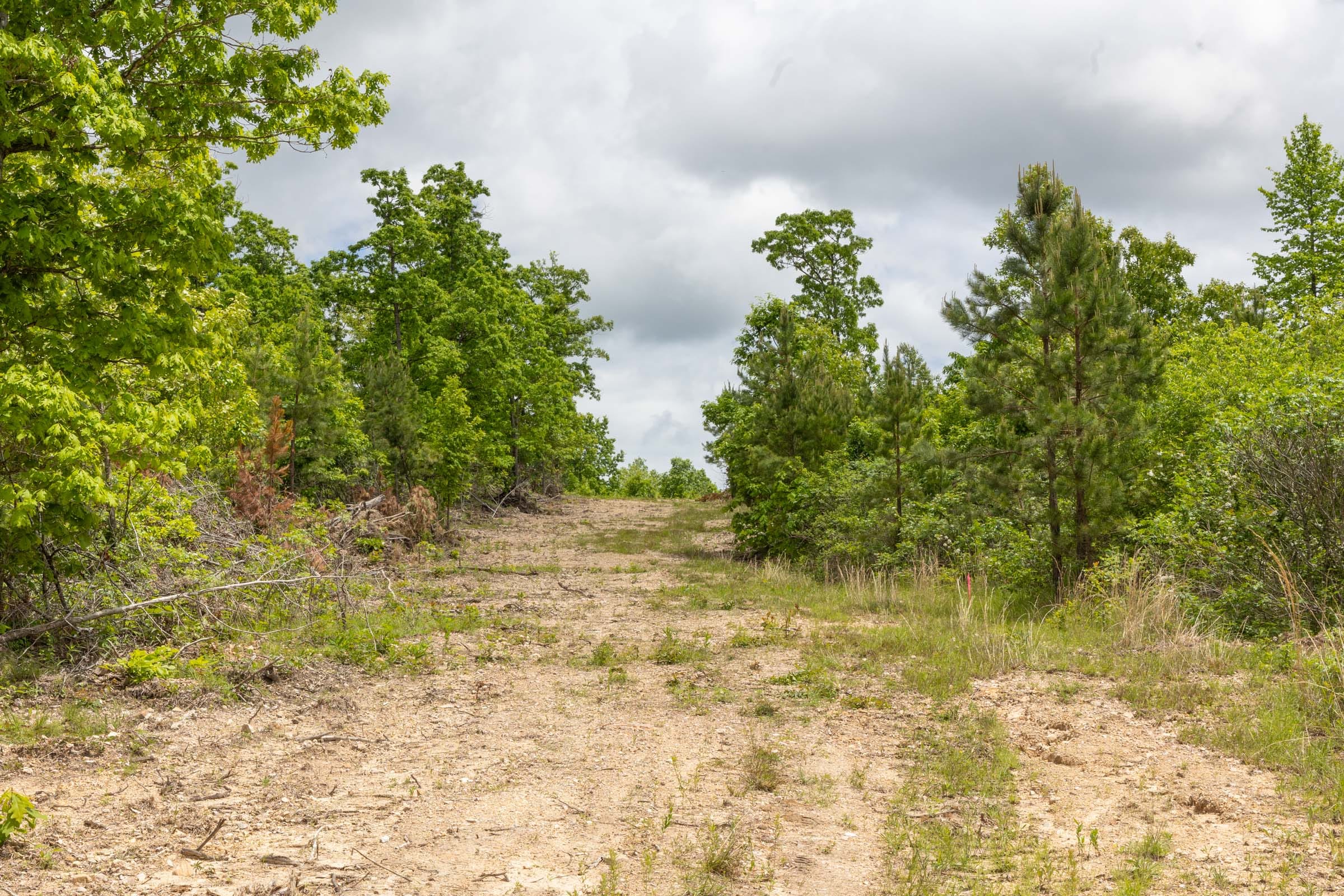 Sleepy Hollow Phase II Tract 79 photo 4