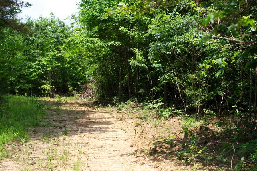 Bluebird Ranch Tract 15 photo 3