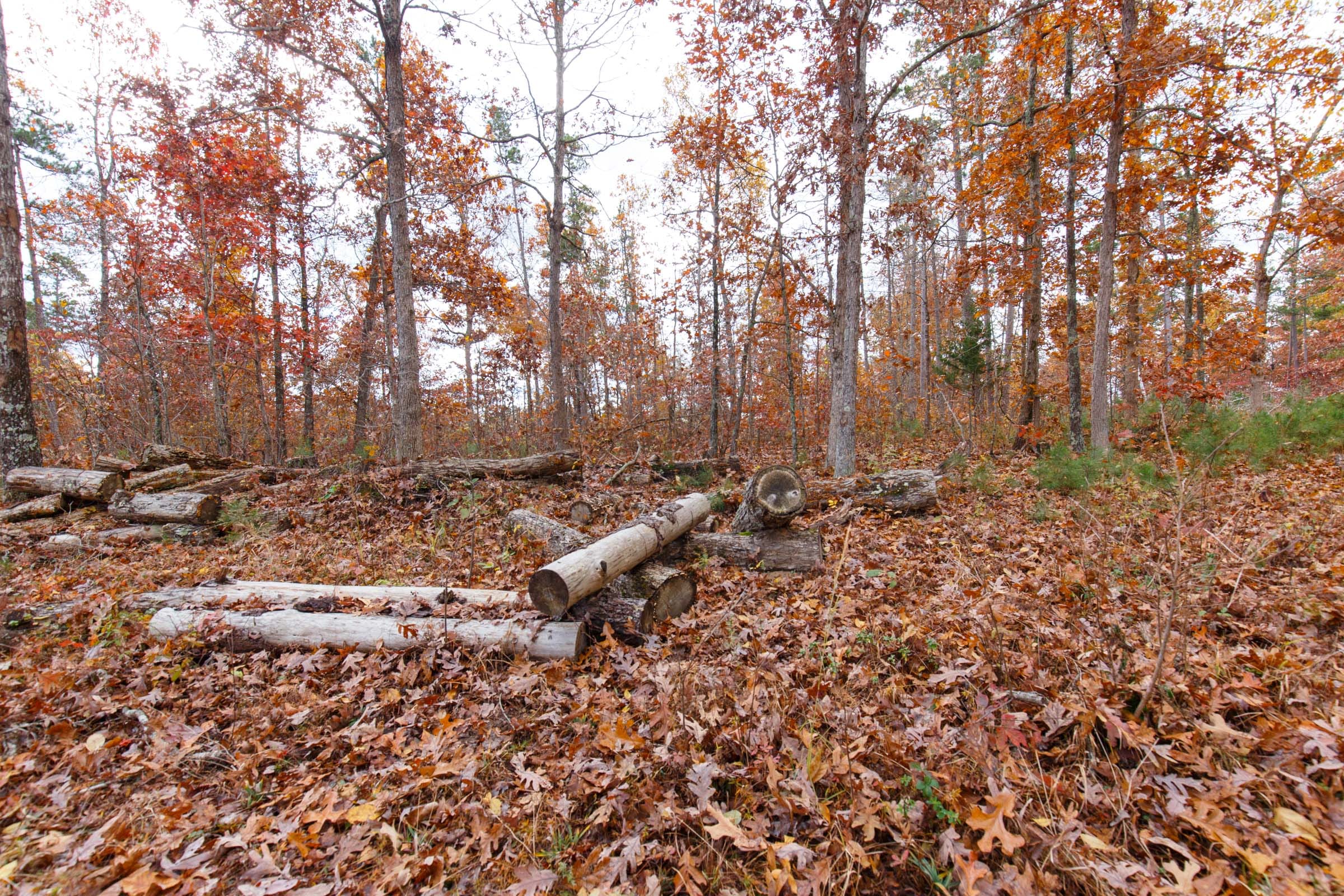 Hawkcrest Tract 38 photo 5