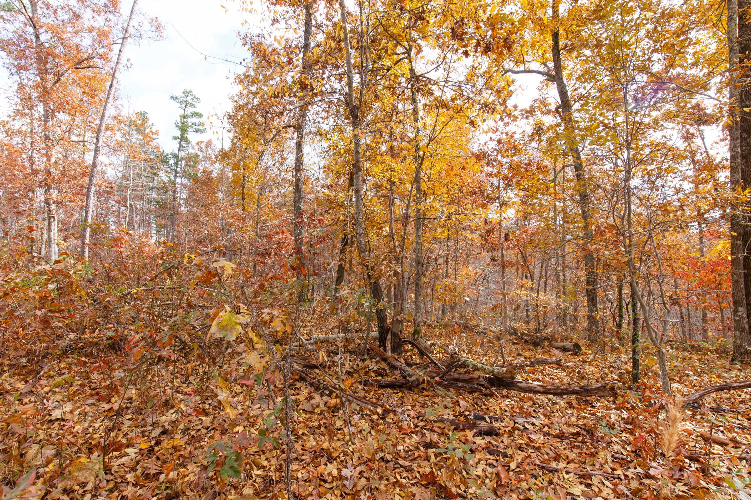 Hawkcrest Tract 38 photo 1