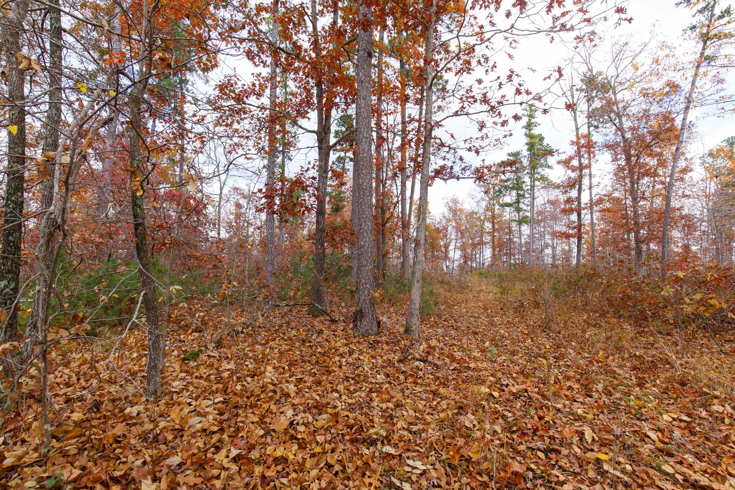 Hawkcrest Tract 38 photo 3