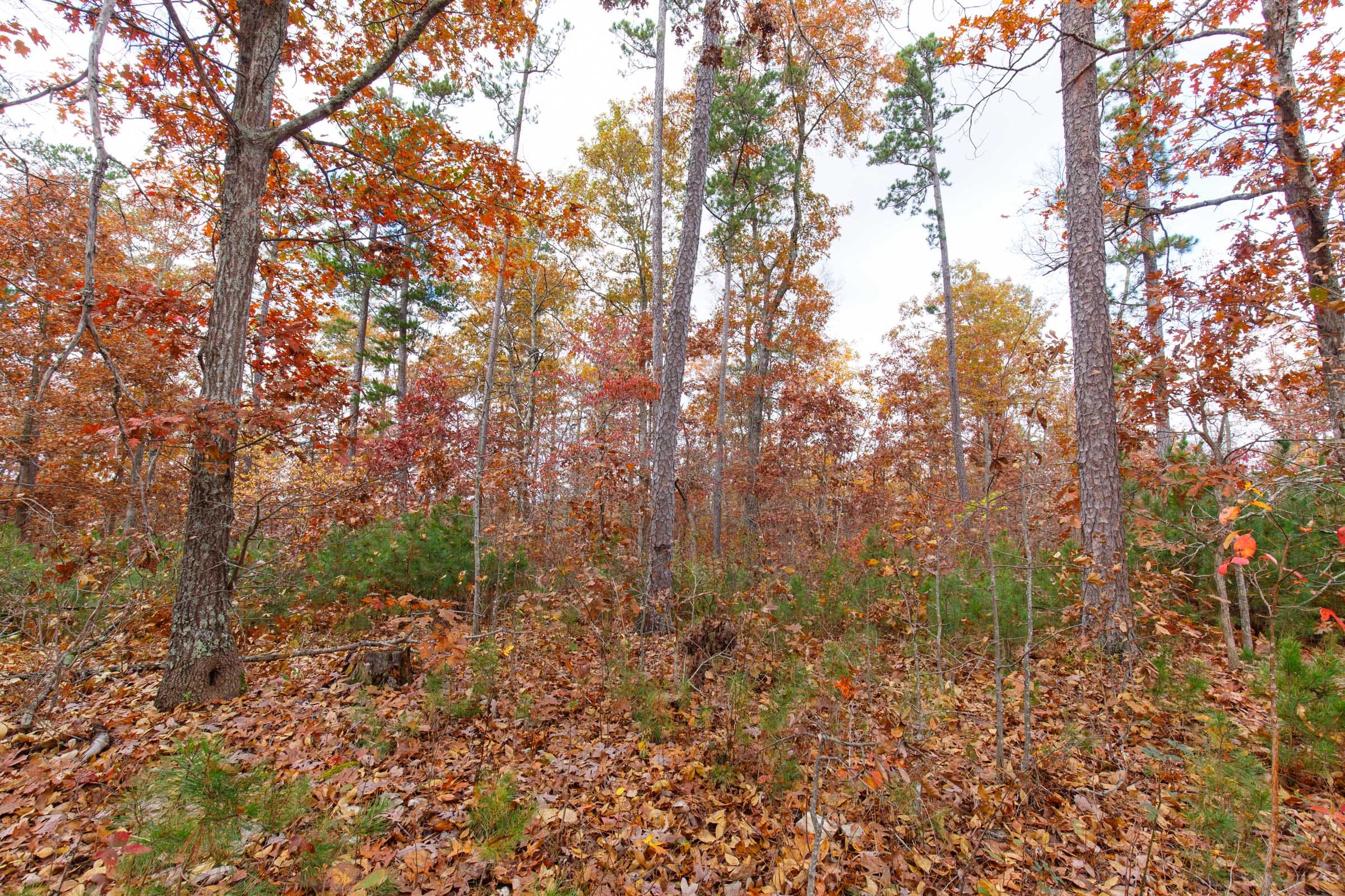 Hawkcrest Tract 38 photo 2