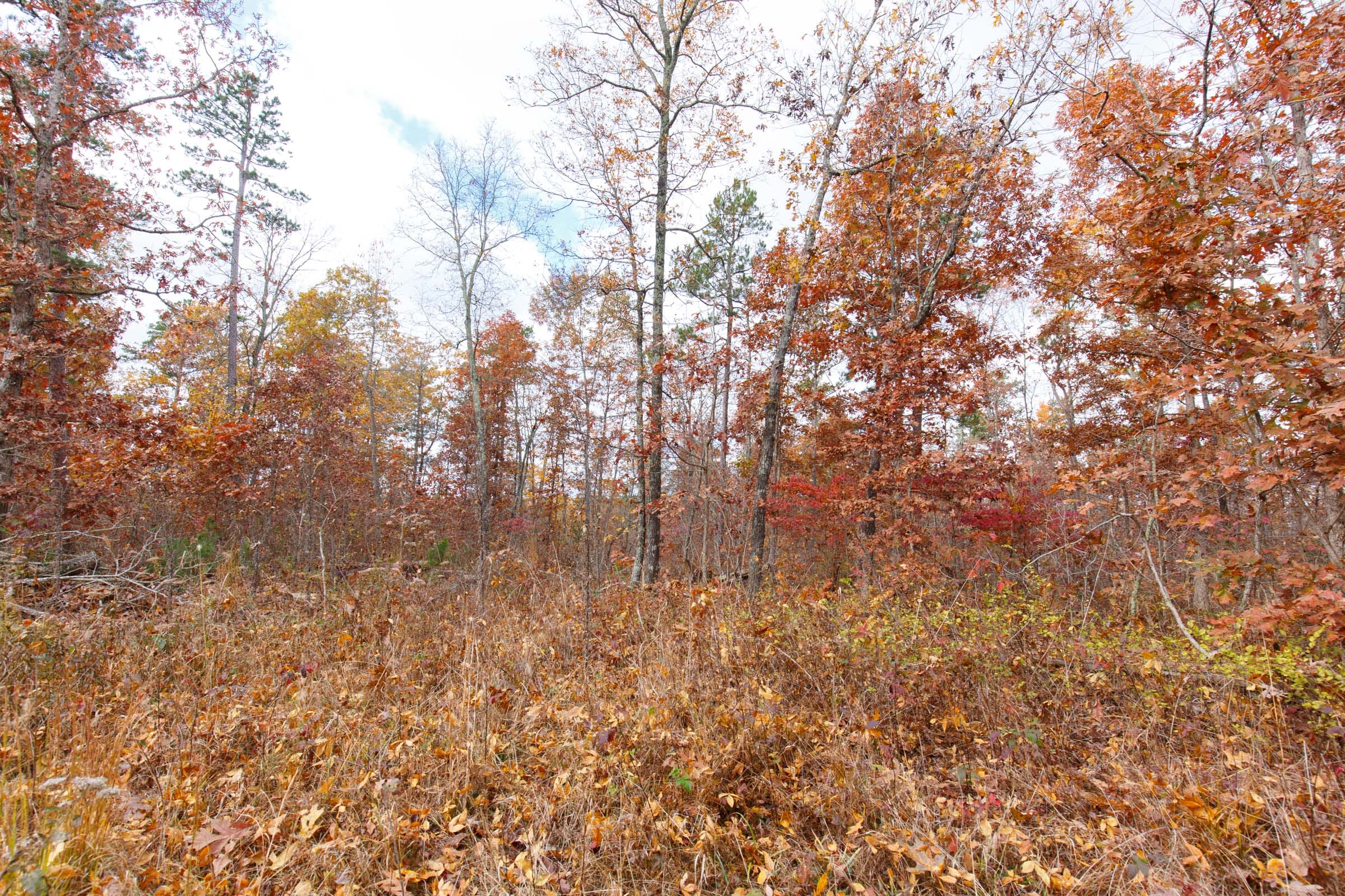 Hawkcrest Tract 38 photo 7
