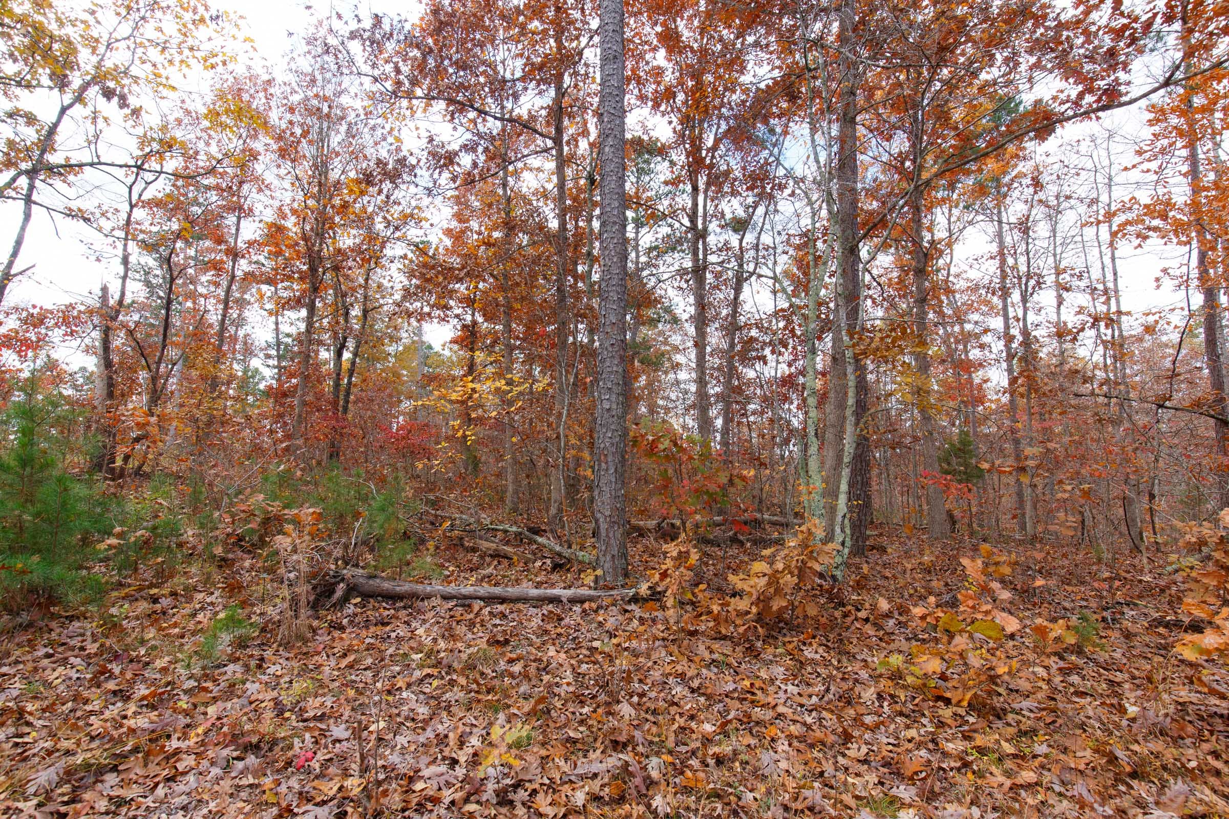Hawkcrest Tract 38 photo 8
