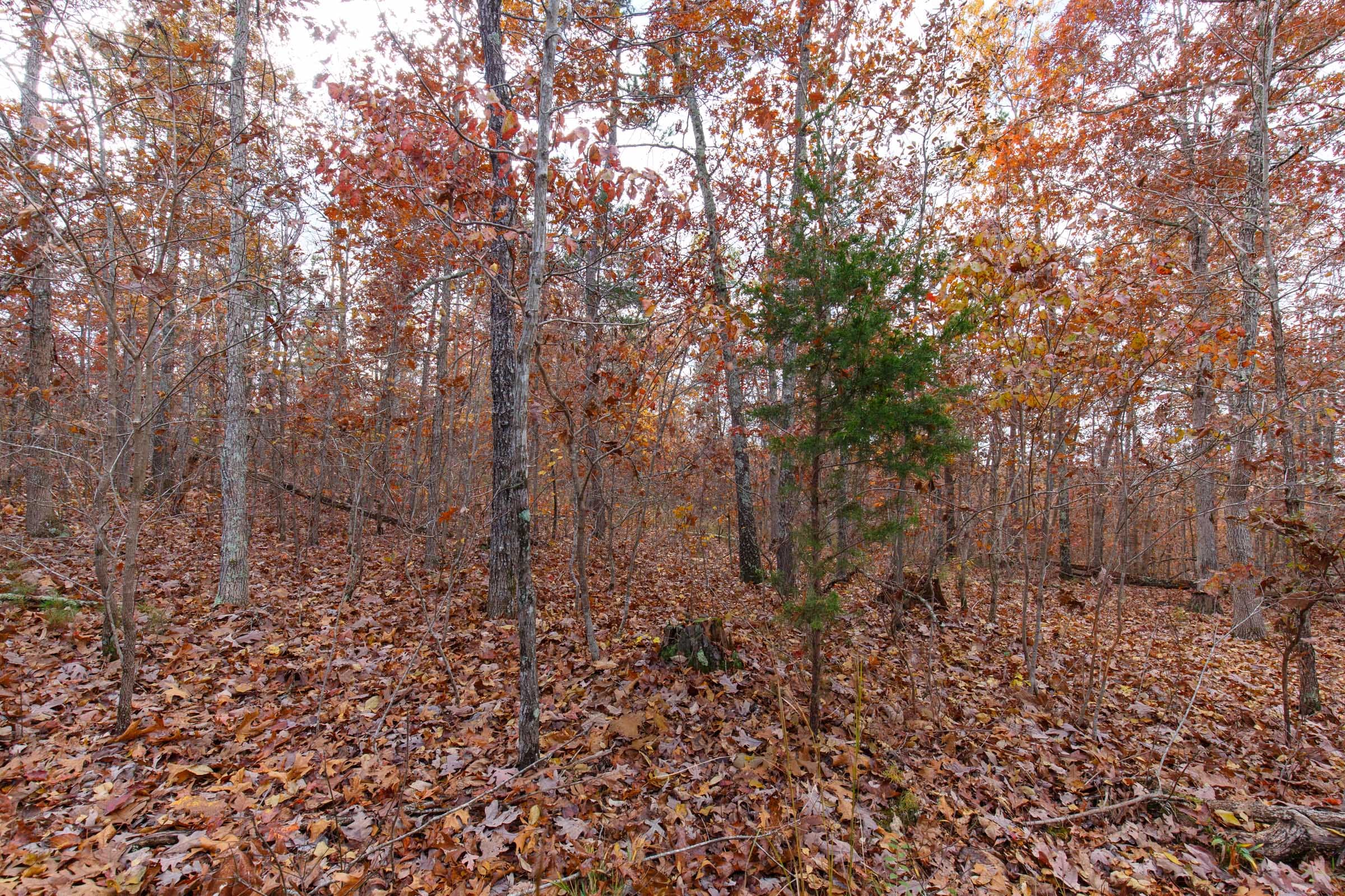 Hawkcrest Tract 38 photo 10
