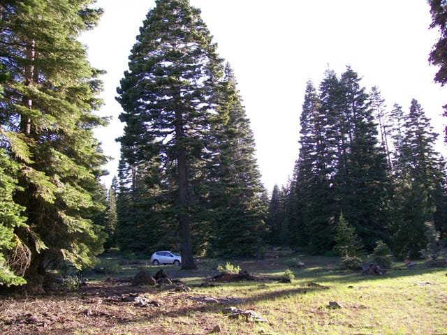 California Pines Tract 2 photo 1