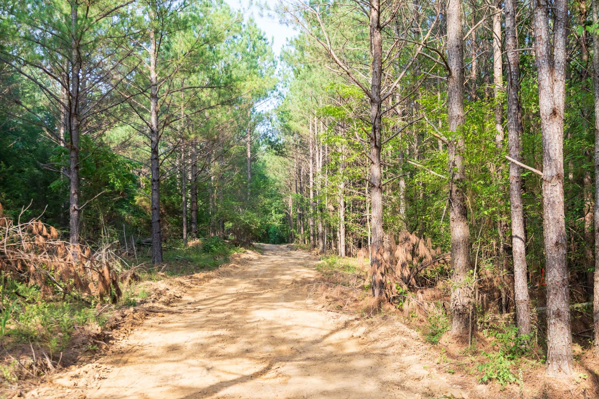 Whiskey Ridge Tract 64 photo 4